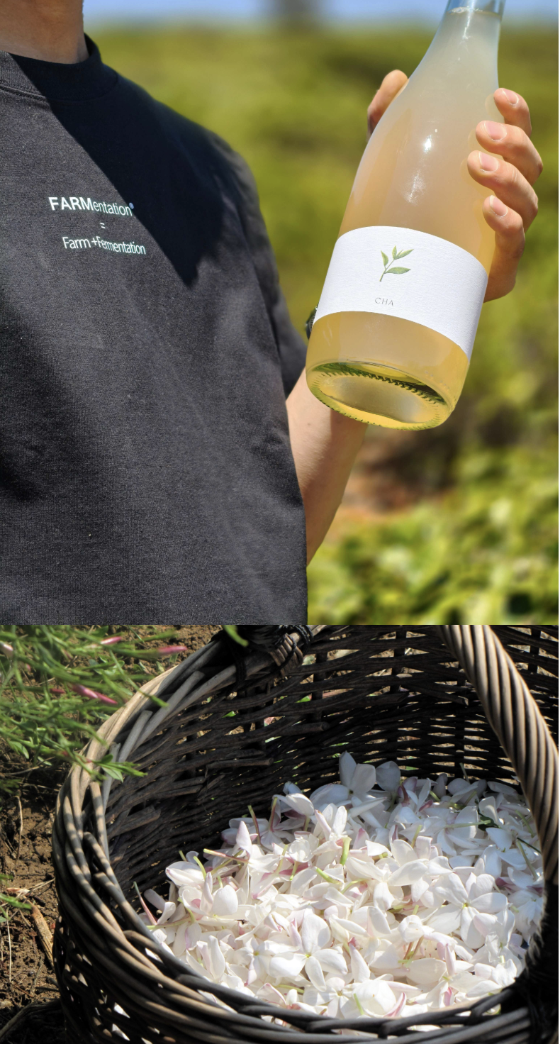 Etiqueta CHA Pét-Nat — FARMentation, co-fermentación de Black Muscat y té