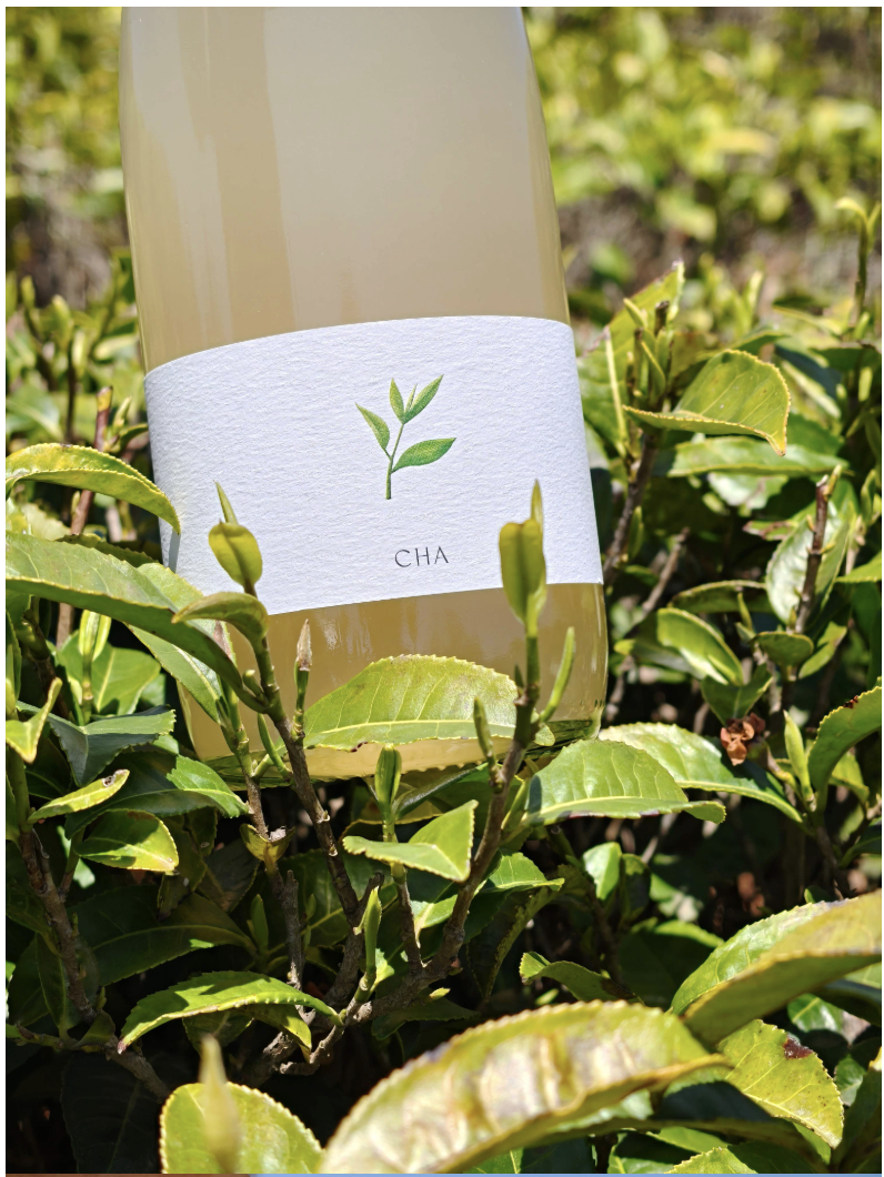 Botella de CHA Pét-Nat, espumoso natural de té de jazmín y uva