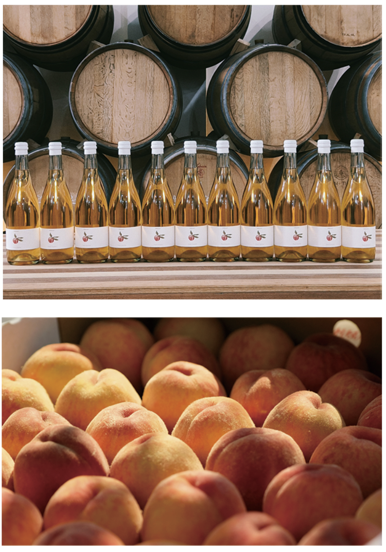 Peach Bubble servido, sidra espumosa de durazno turbia y natural