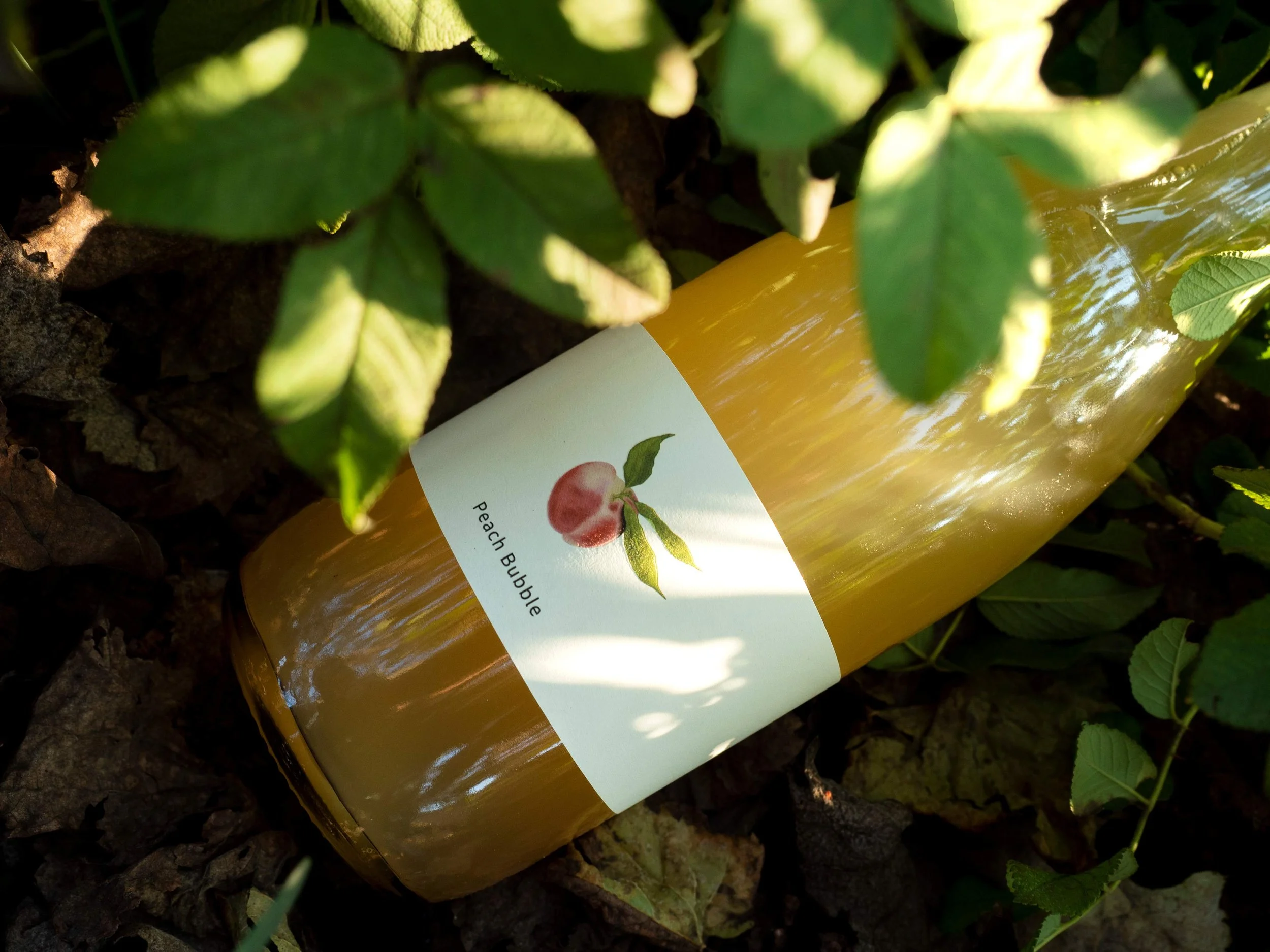 Botella de Peach Bubble, vino de fruta espumoso natural de durazno