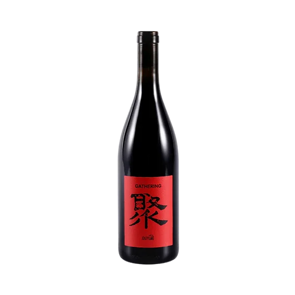 Xiaopu Gathering Tinto MV7 NV