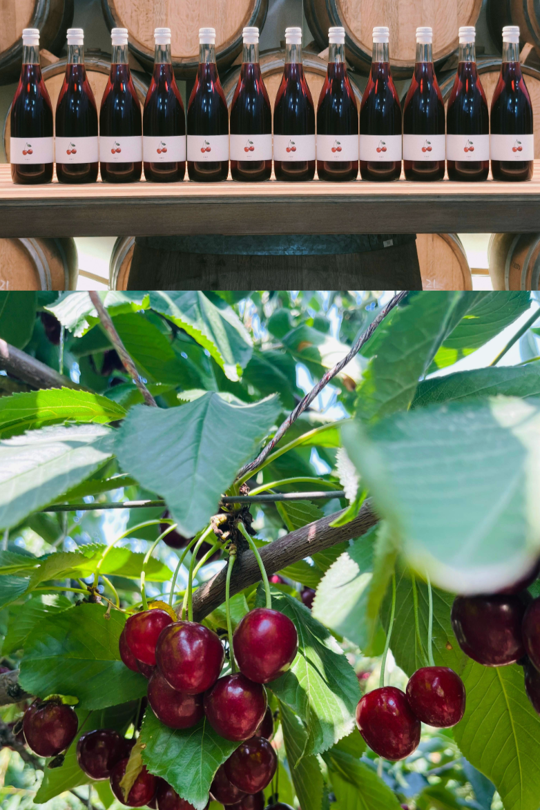 Etiqueta FARMentation Cherry Bubble — vino de fruta de mínima intervención