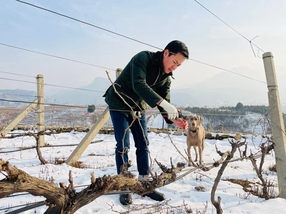 Huerto y campo de fermentación FARMentation, China