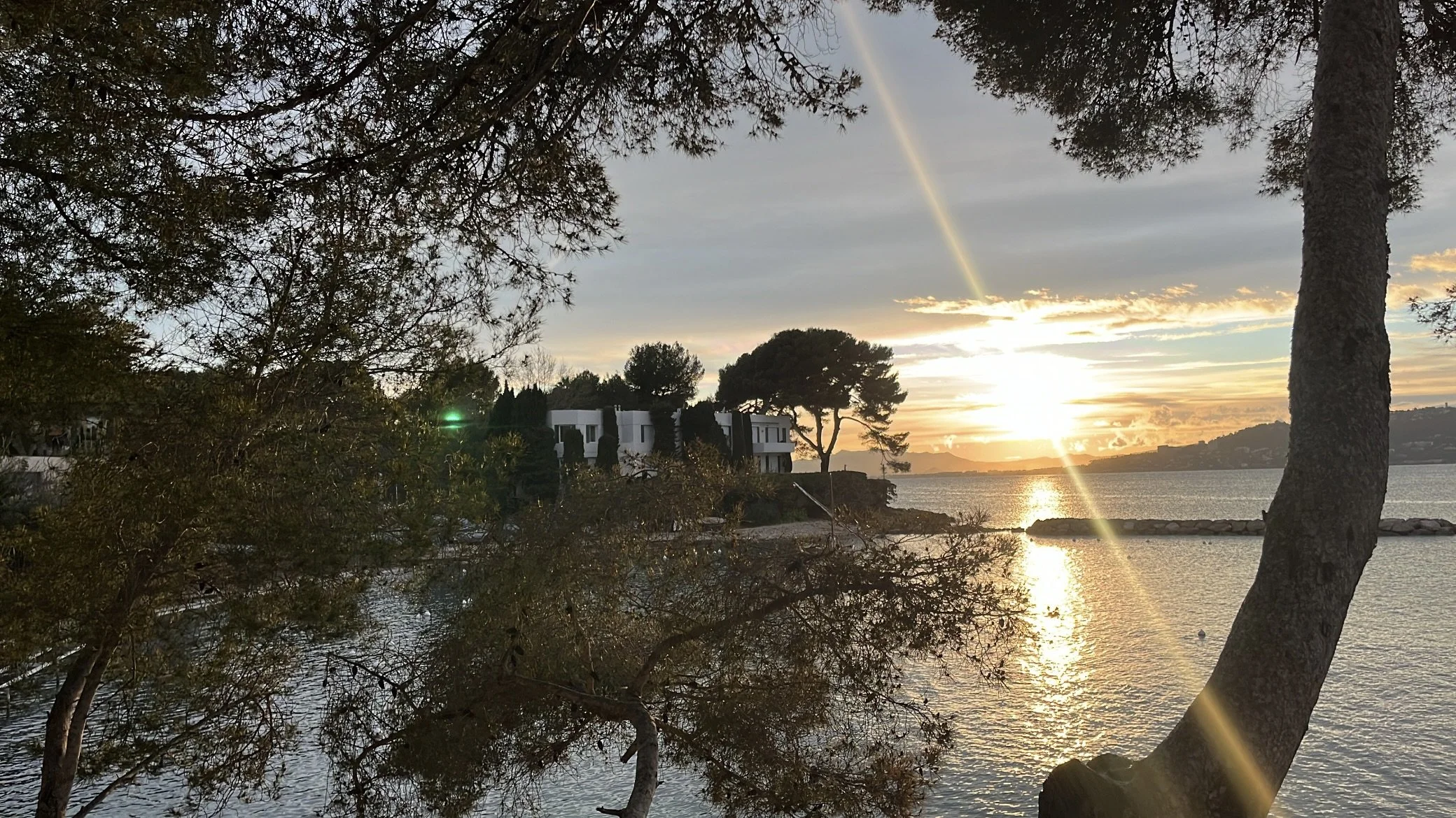 Sunset over a body of water with trees and modern buildings in the foreground, and a rainbow visible in the sky.