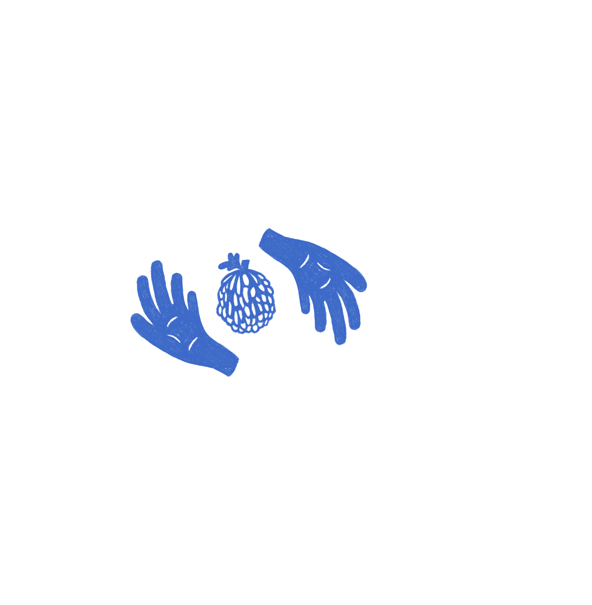 variations2.png