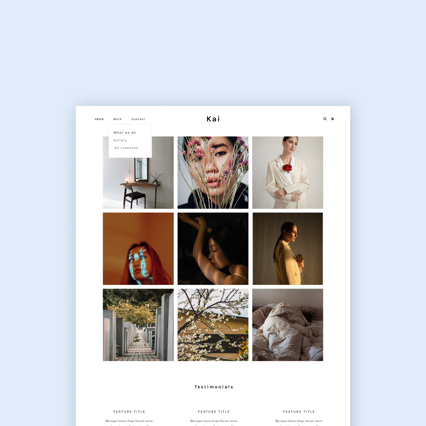 GoDaddy Theme Templates