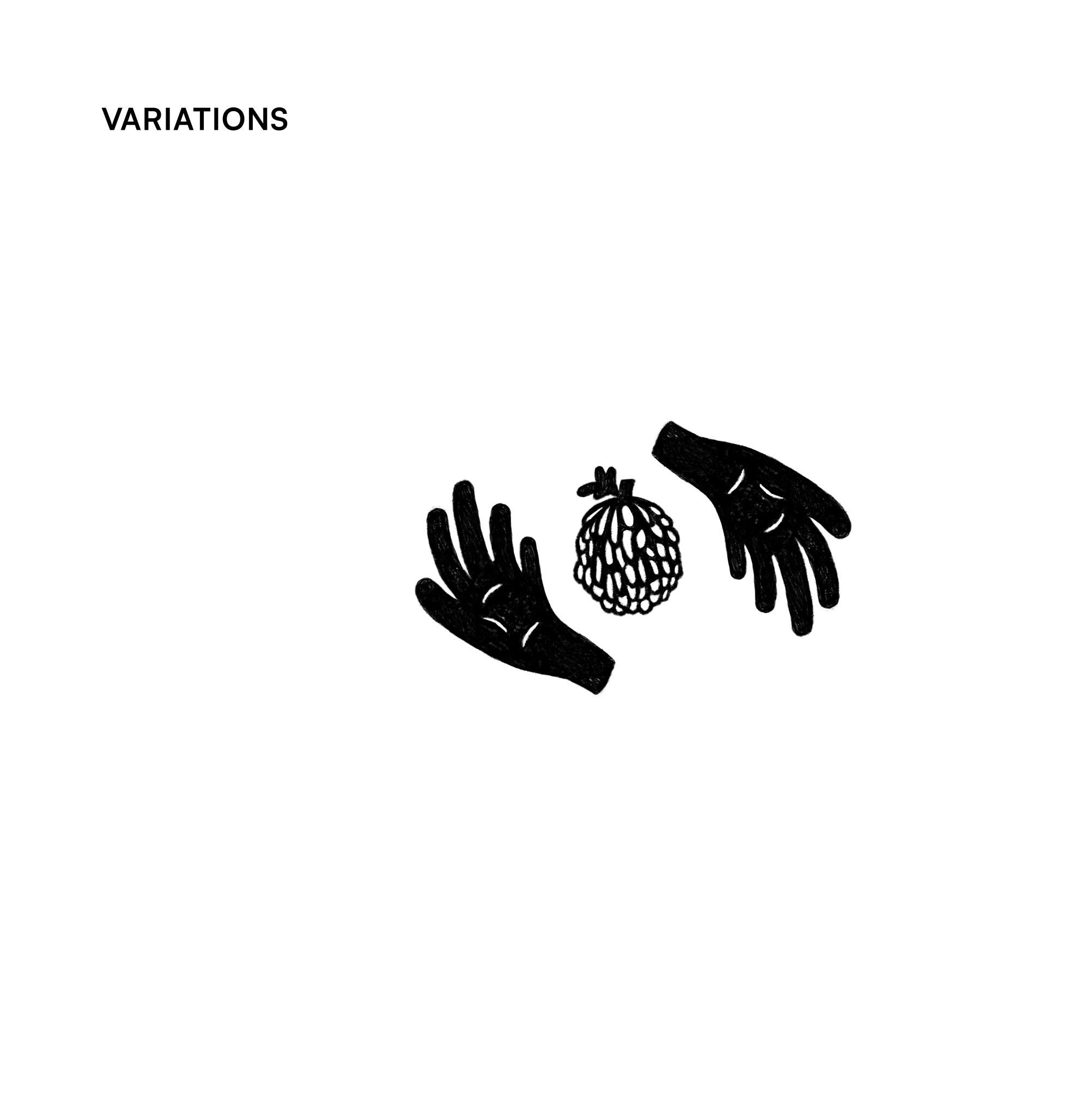 variations1.png