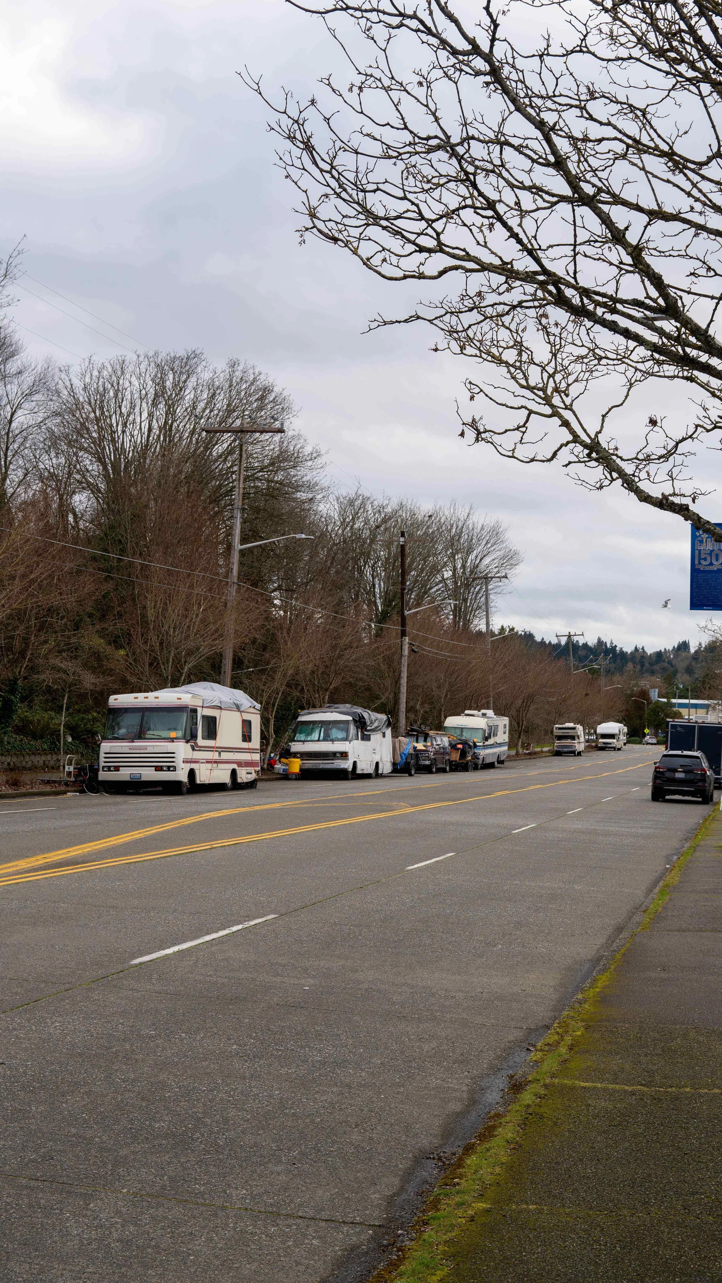 Perspective view of a line of resident vehicles and RVs parked against a wooded hillside on W Commodore Way in Seattle.