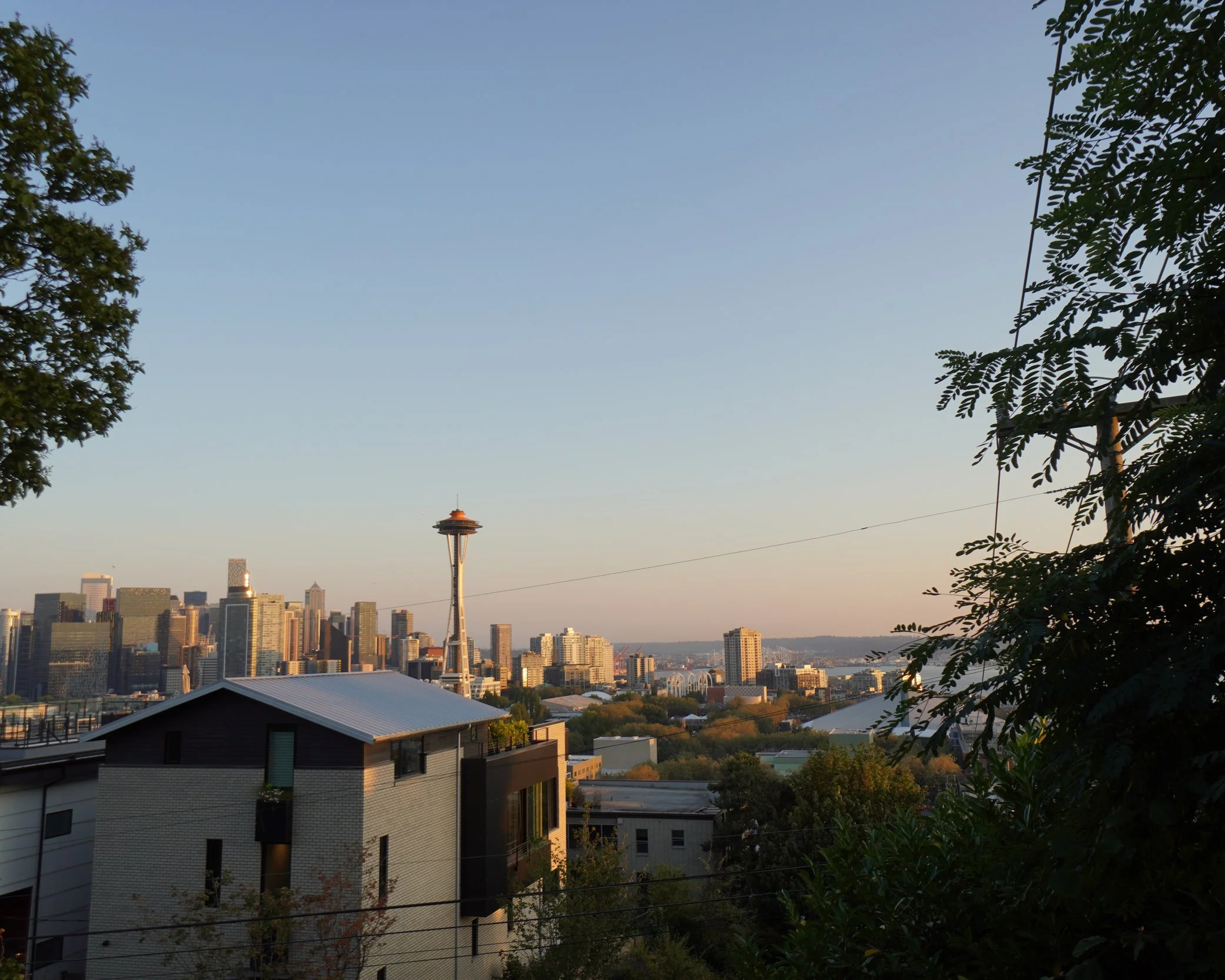 City skyline with Seattle Space Needle, residential buildings, trees, and a clear sky during sunset.