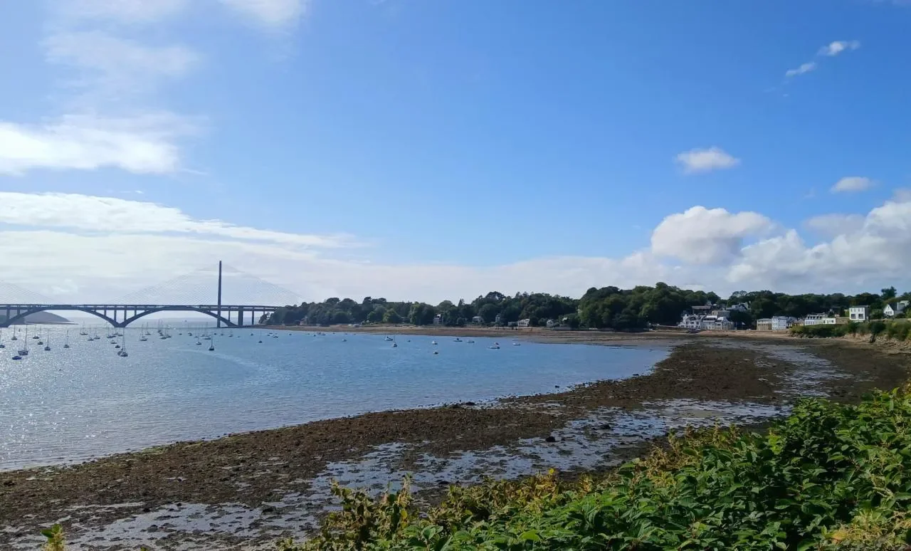 Une vue du fleuve avec des bateaux à voile, un pont en arrière-plan et des maisons le long de la rive sous un ciel partiellement nuageux.