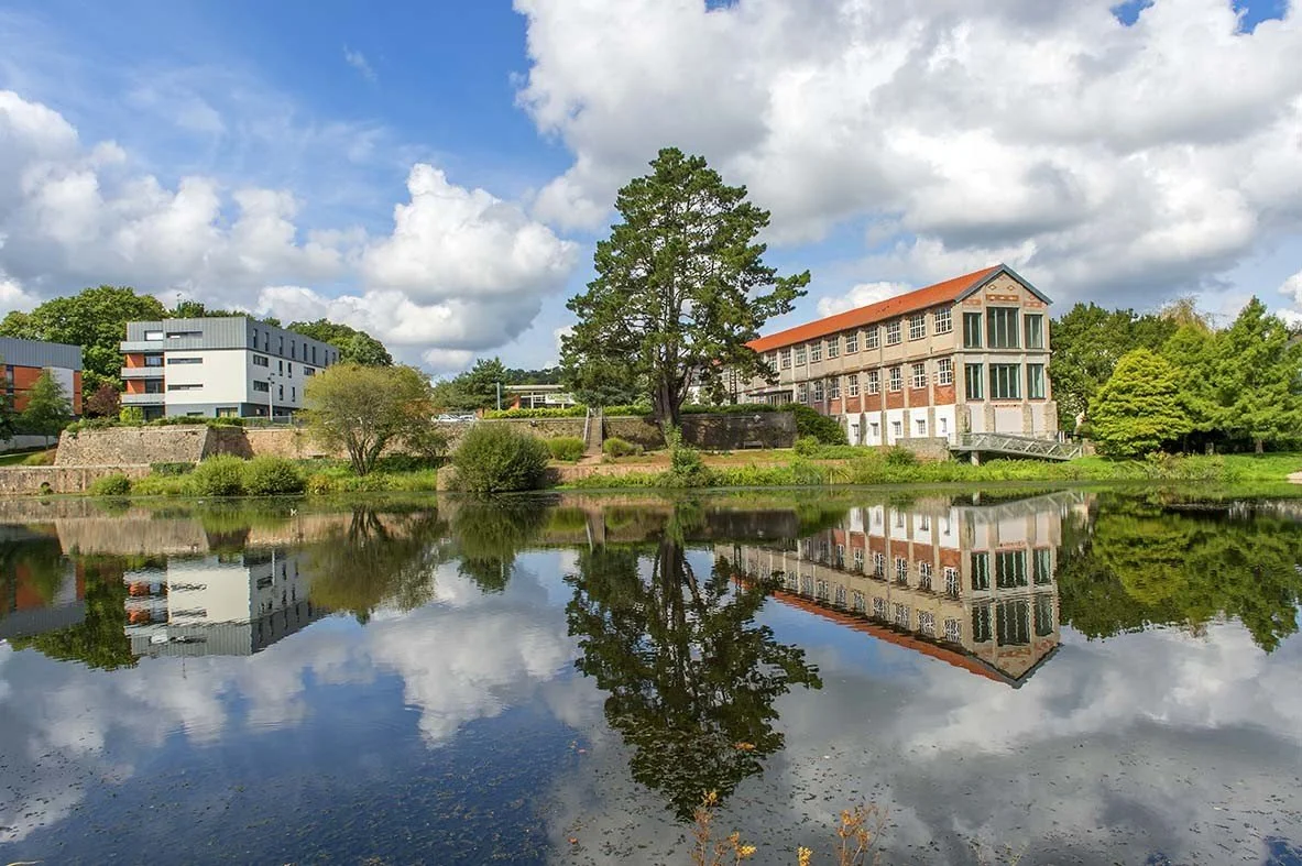Paysage avec un arbre central, un petit lac en premier plan, et des bâtiments modernes, le tout reflété dans l'eau, sous un ciel partiellement nuageux.