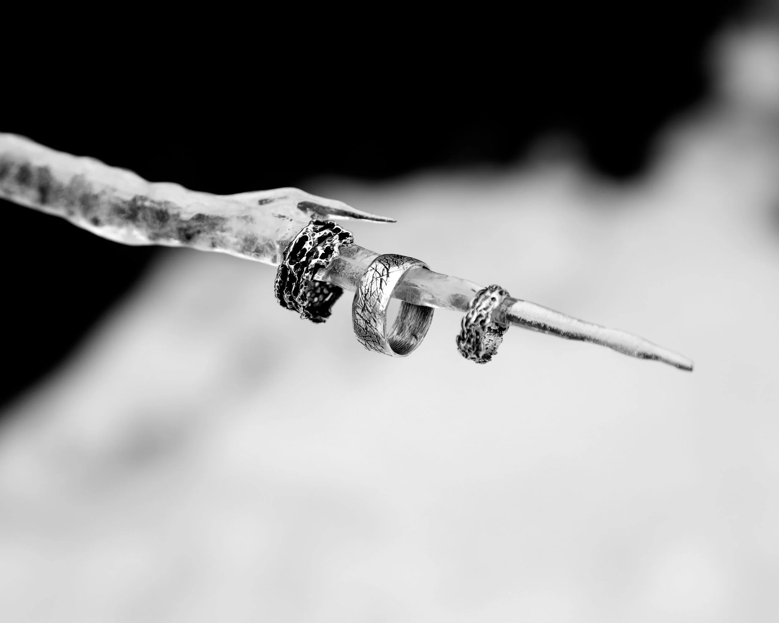 SINEW (2025).
inspired by the tissue that connects us. ☆
THE WALLS (2025).
the contrast between a meticulously shaped band with the erratic clawing of a desperate hand. what happens when you cling too tightly to perfection.  ☆
BACKBONE (2025).
this w