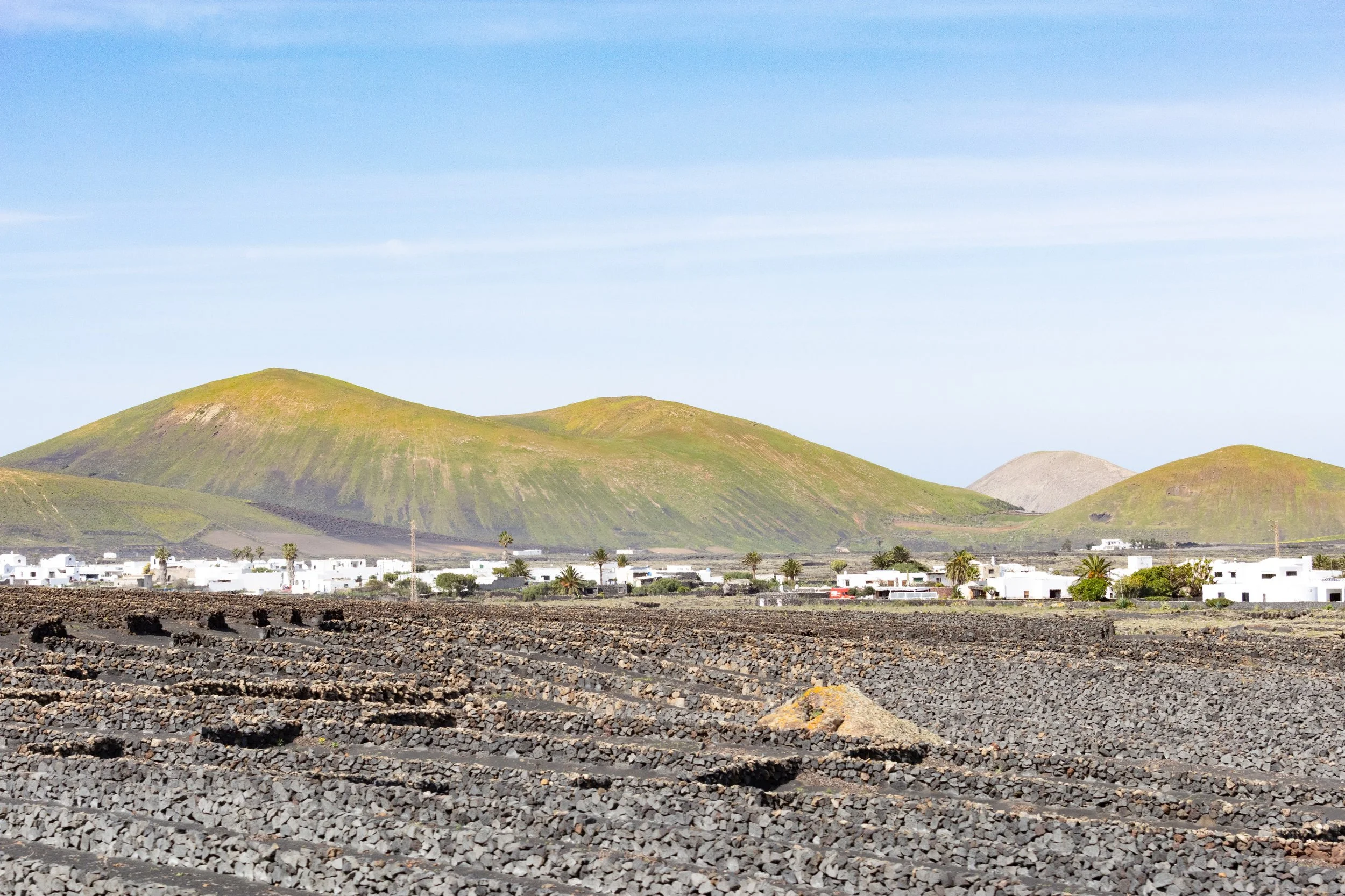 Landscape with green rolling hills in the background and a small white village in the foreground, with dark stone-lined agricultural fields in the front.