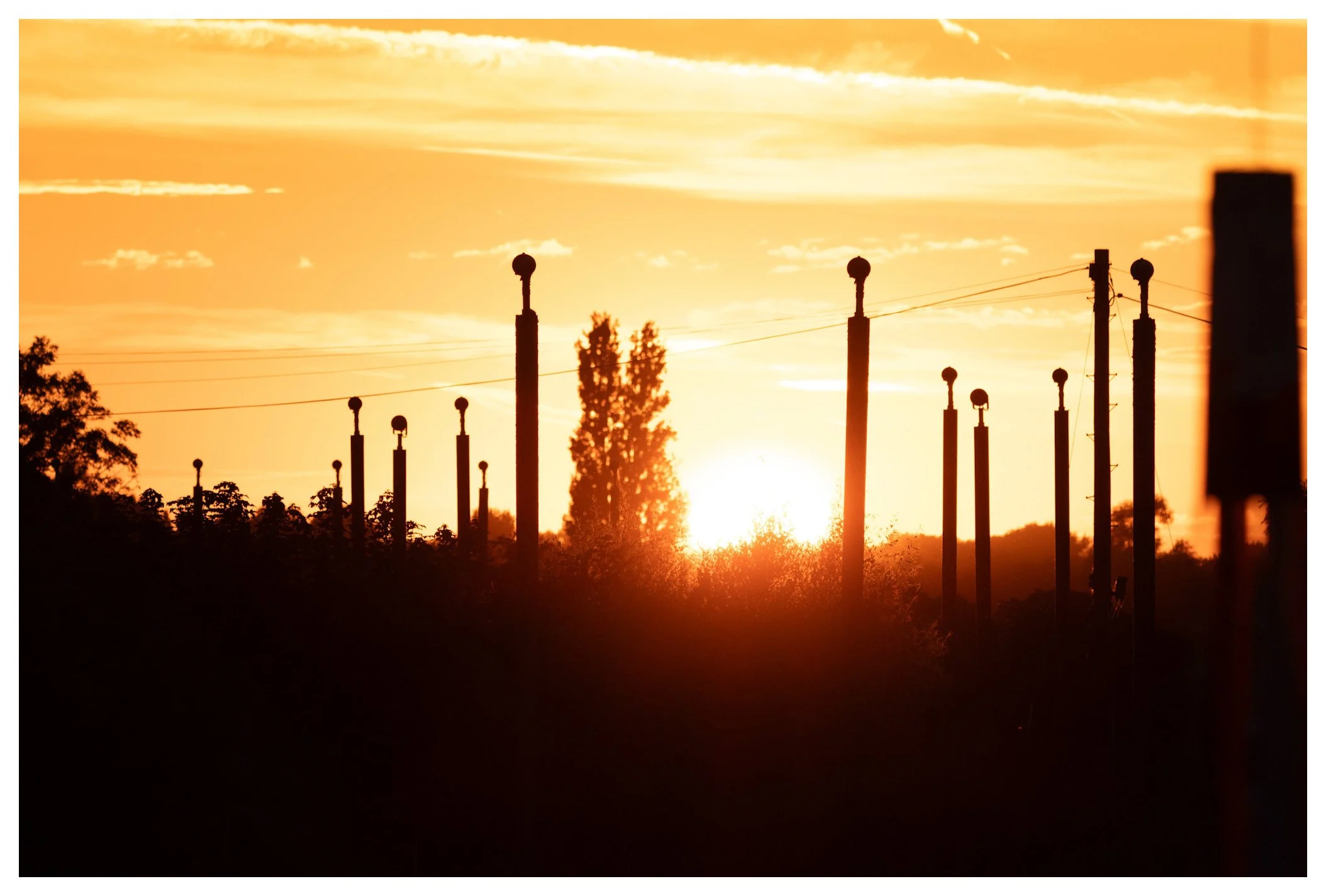 Silhouette of utility poles with wires at sunset or sunrise, with a large tree in the background and a sky with clouds.