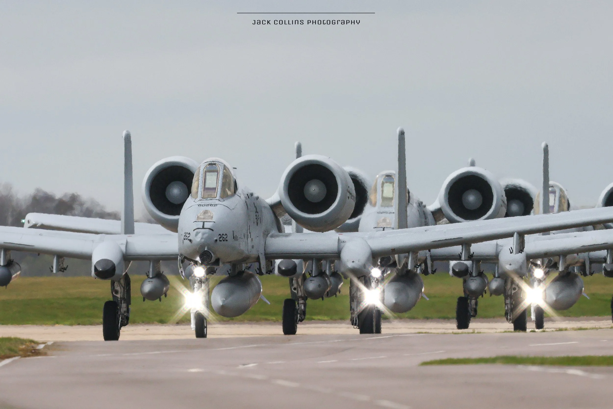 963A8129(1).JPG