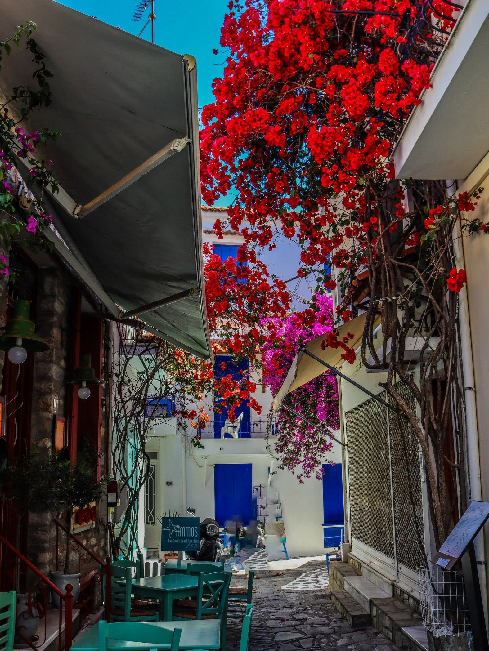 A narrow cobblestone street with white buildings, blue doors and windows, and vibrant red and pink bougainvillaea flowers climbing on the walls and overhead.