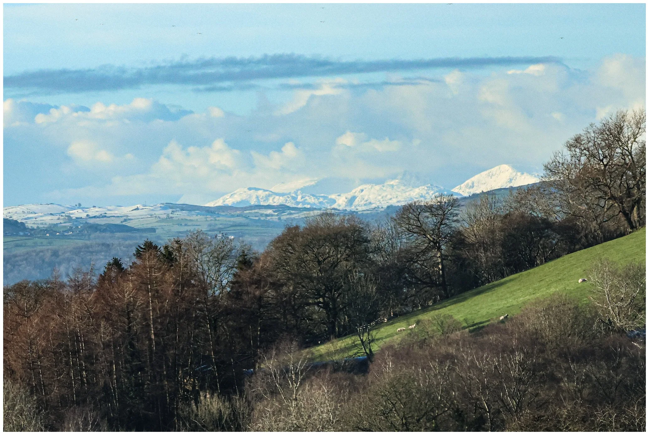 Scenic landscape with rolling hills, leafless trees, and snow-capped mountains in the distance under a partly cloudy sky.