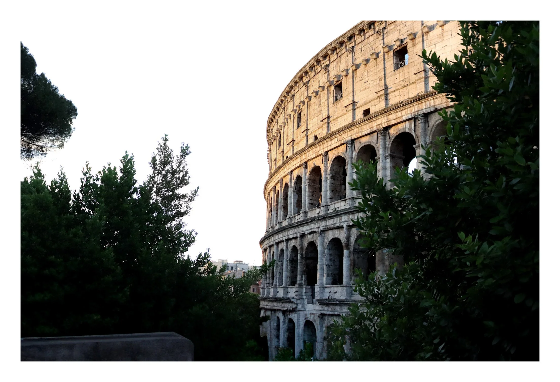 Close-up of the Roman Colosseum with greenery in the foreground and a clear sky background.