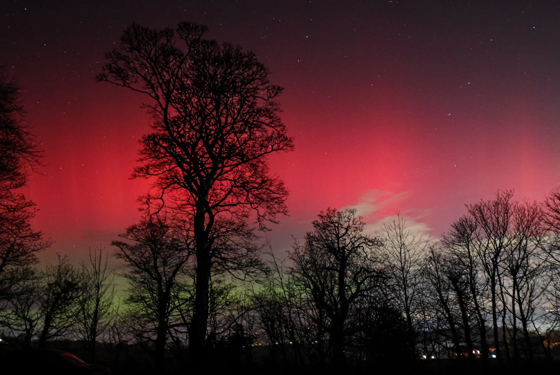 Night sky with visible stars and colorful northern lights over silhouetted trees.