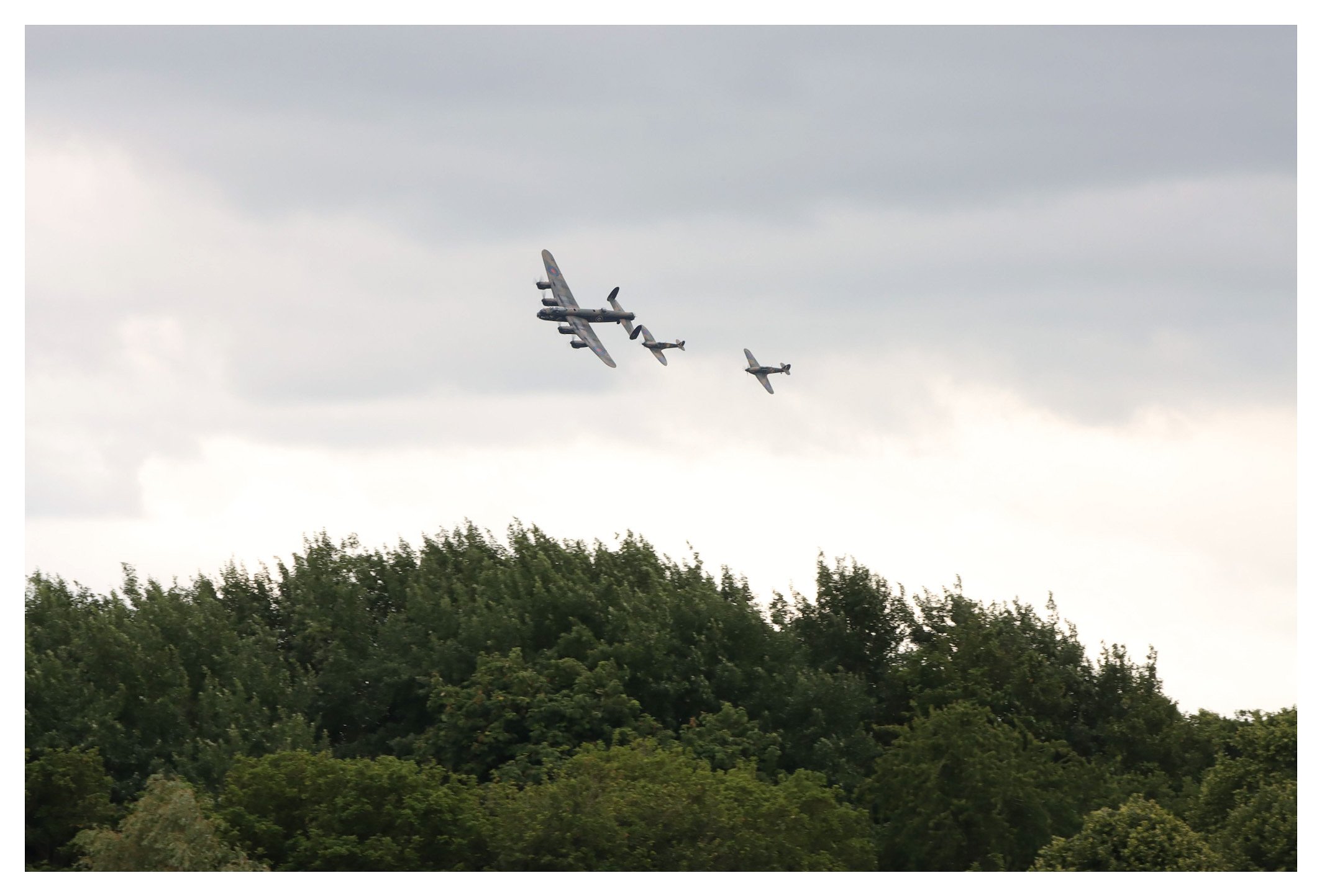 A vintage military airplane flying with two smaller aircraft in formation above a green treetops against a cloudy sky.