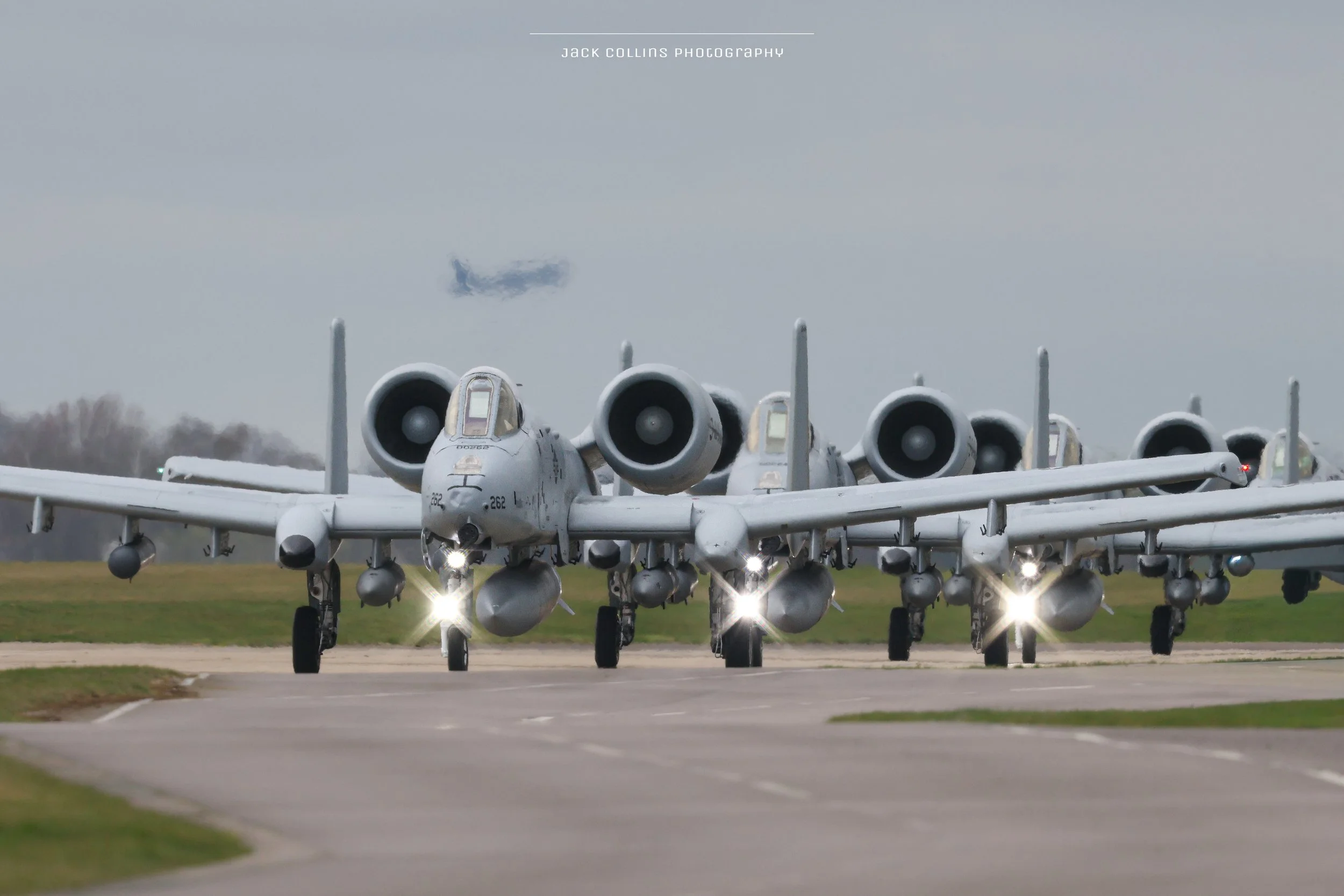963A8022(1).JPG