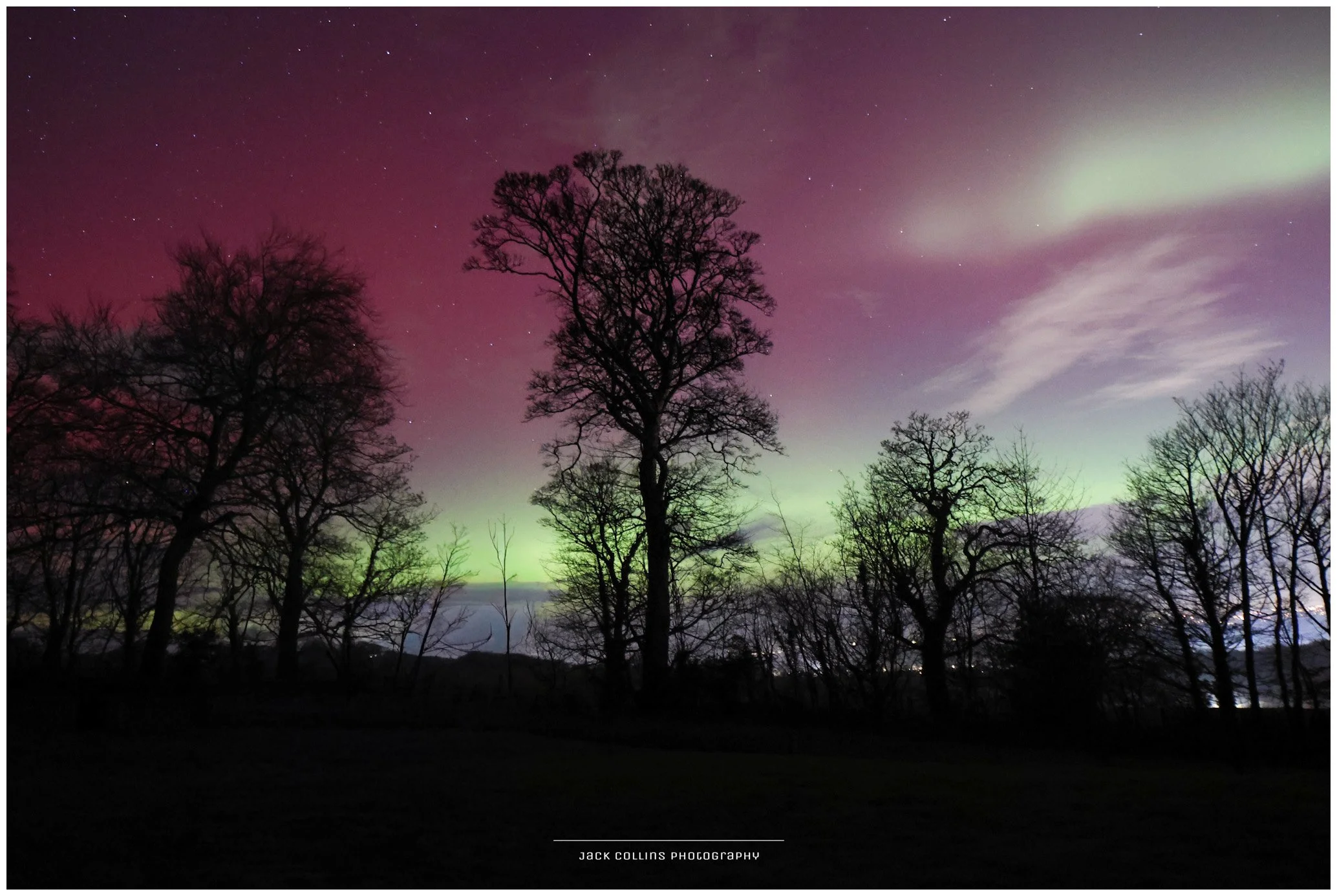 Night sky illuminated with the Aurora Borealis, displaying shades of green and purple, with silhouettes of leafless trees in the foreground.