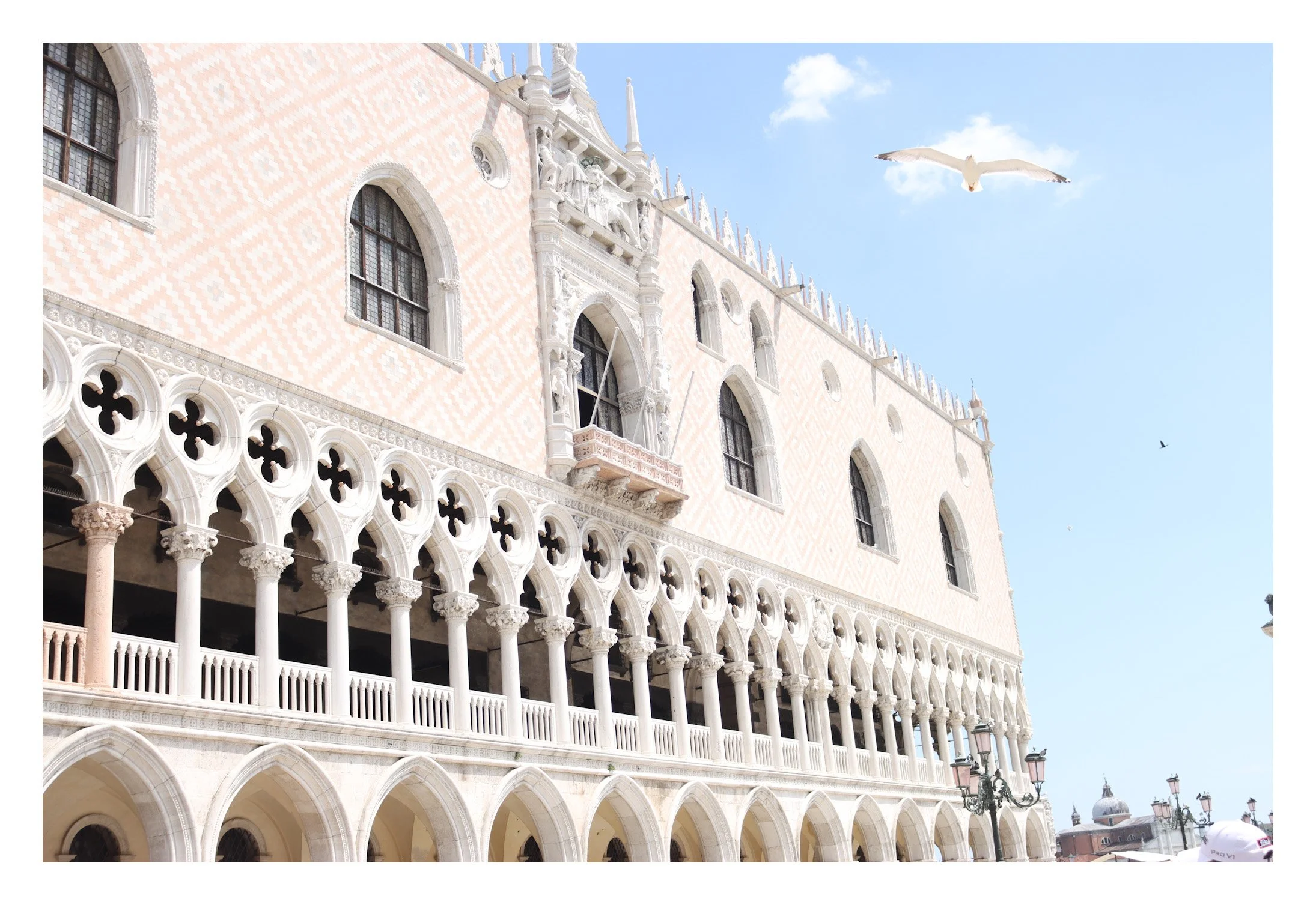 Exterior view of a historic European building with arched windows, ornate columns, and intricate stonework, under a blue sky with a flying seagull.