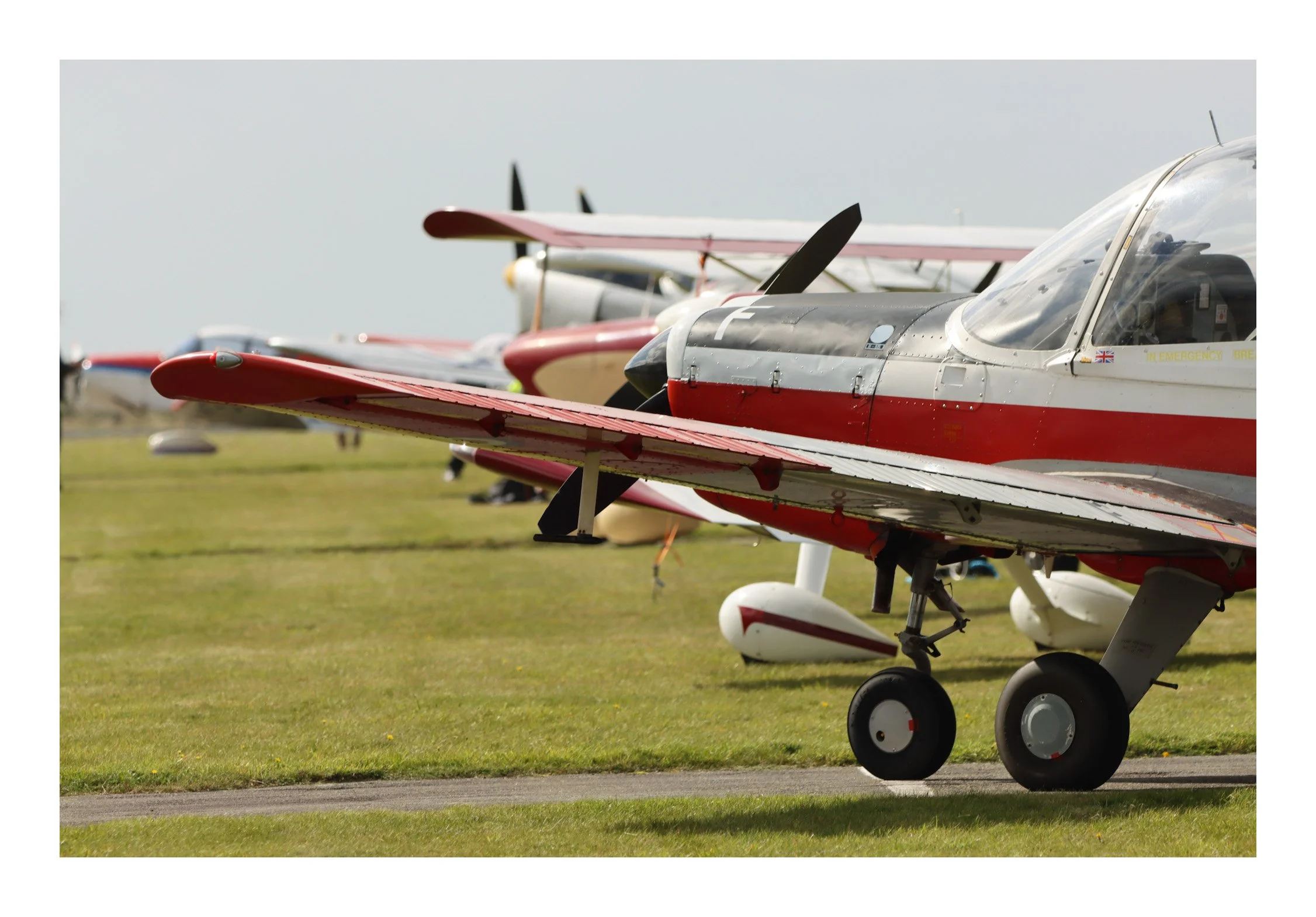 Line of small aircraft parked on a grassy airfield.