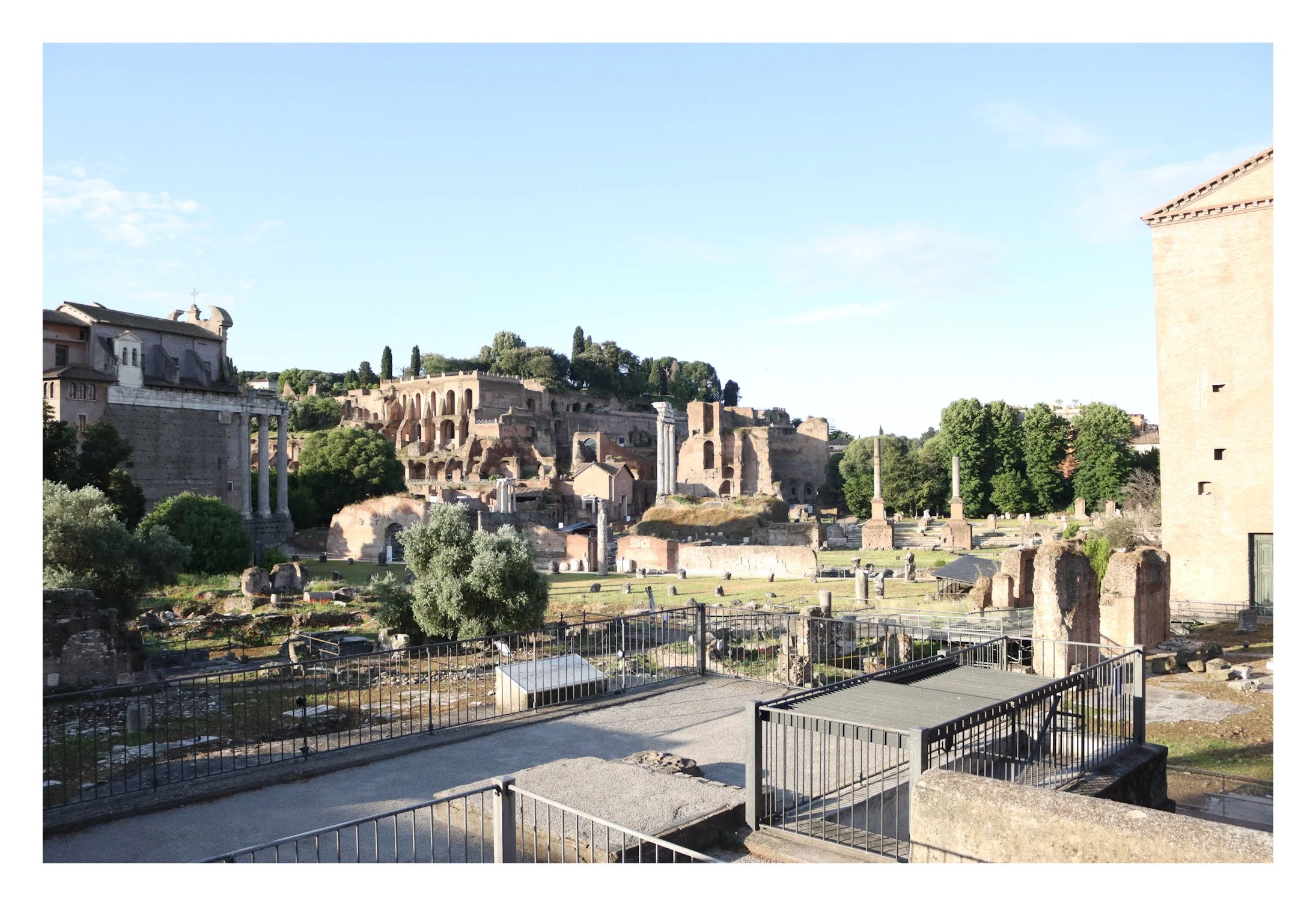 Ancient ruins and historic buildings of the Roman Forum in Rome, Italy, with trees and a clear blue sky.