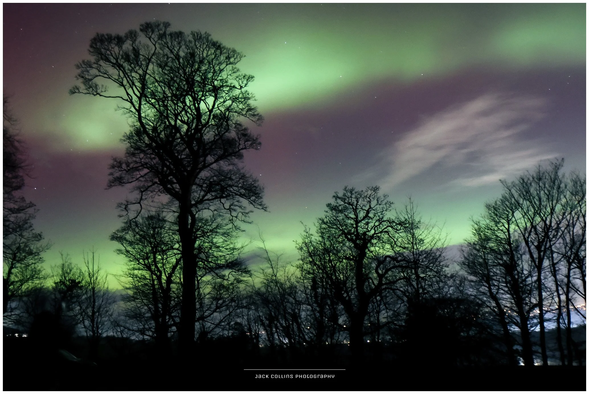 Northern lights display green and purple auroras over silhouetted leafless trees at night in a dark landscape.