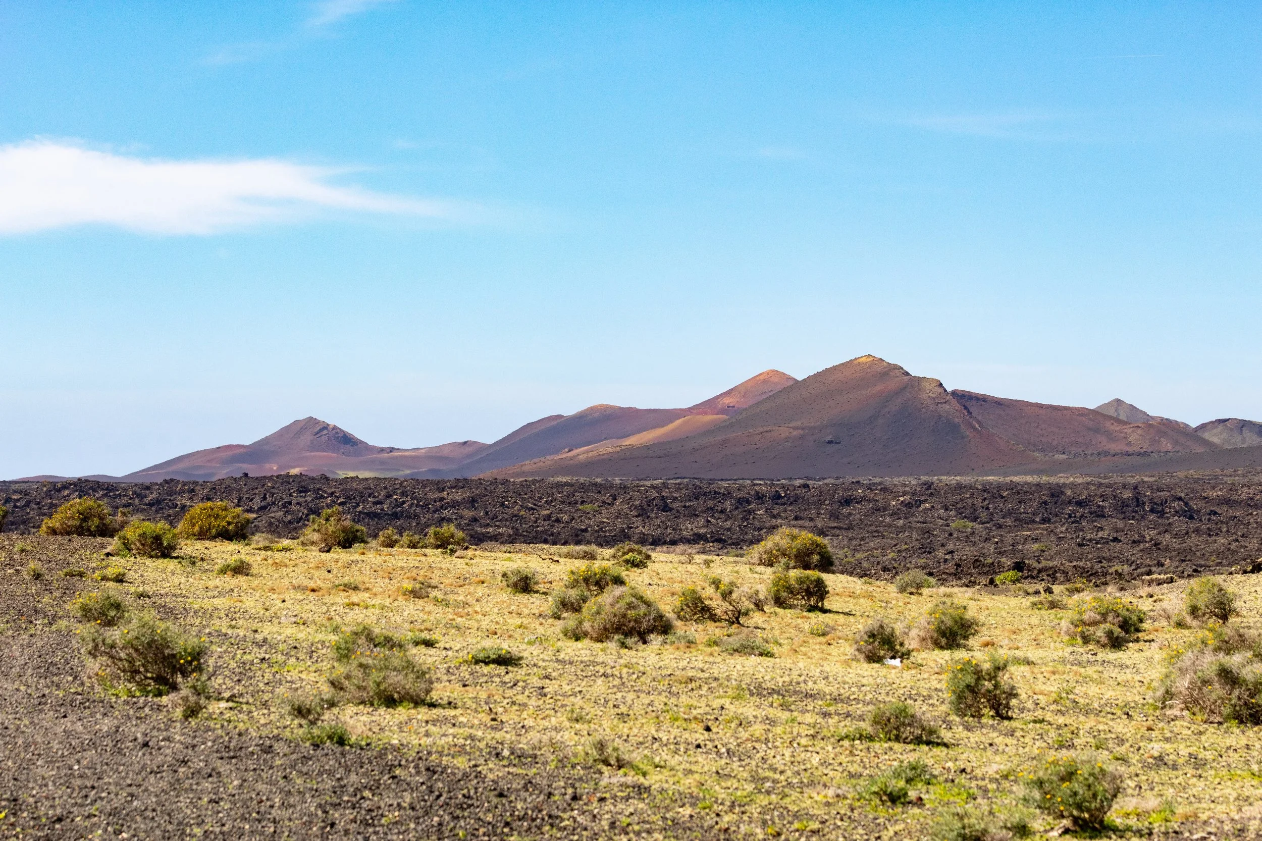 Desert landscape with sparse bushes, dark volcanic hills, and distant mountains under a blue sky with few clouds.