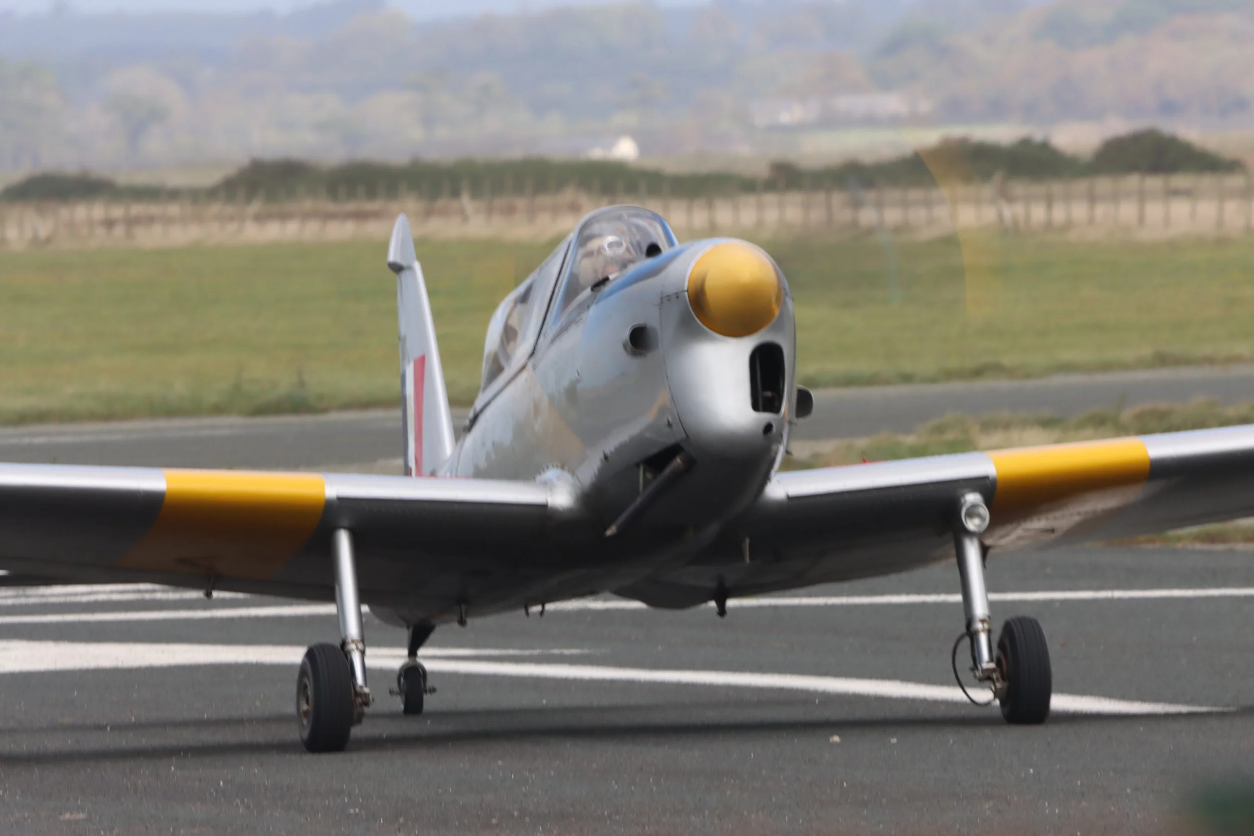 A vintage silver fighter plane with yellow accents on the nose and wings on a runway, with a grassy field and distant trees in the background.