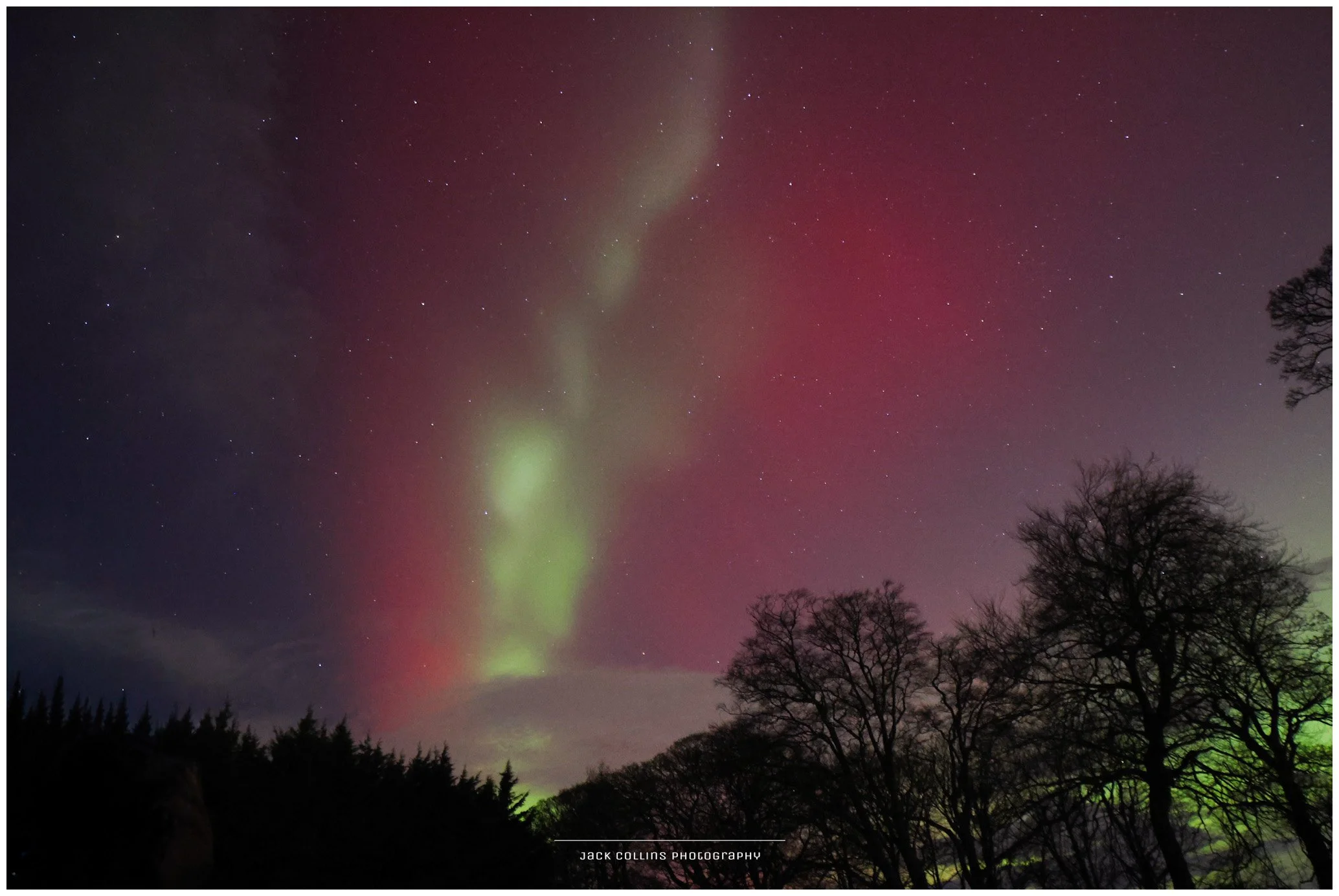 Night sky with the Northern Lights and stars, silhouetted trees at the bottom, and a faint rainbow-colored glow.