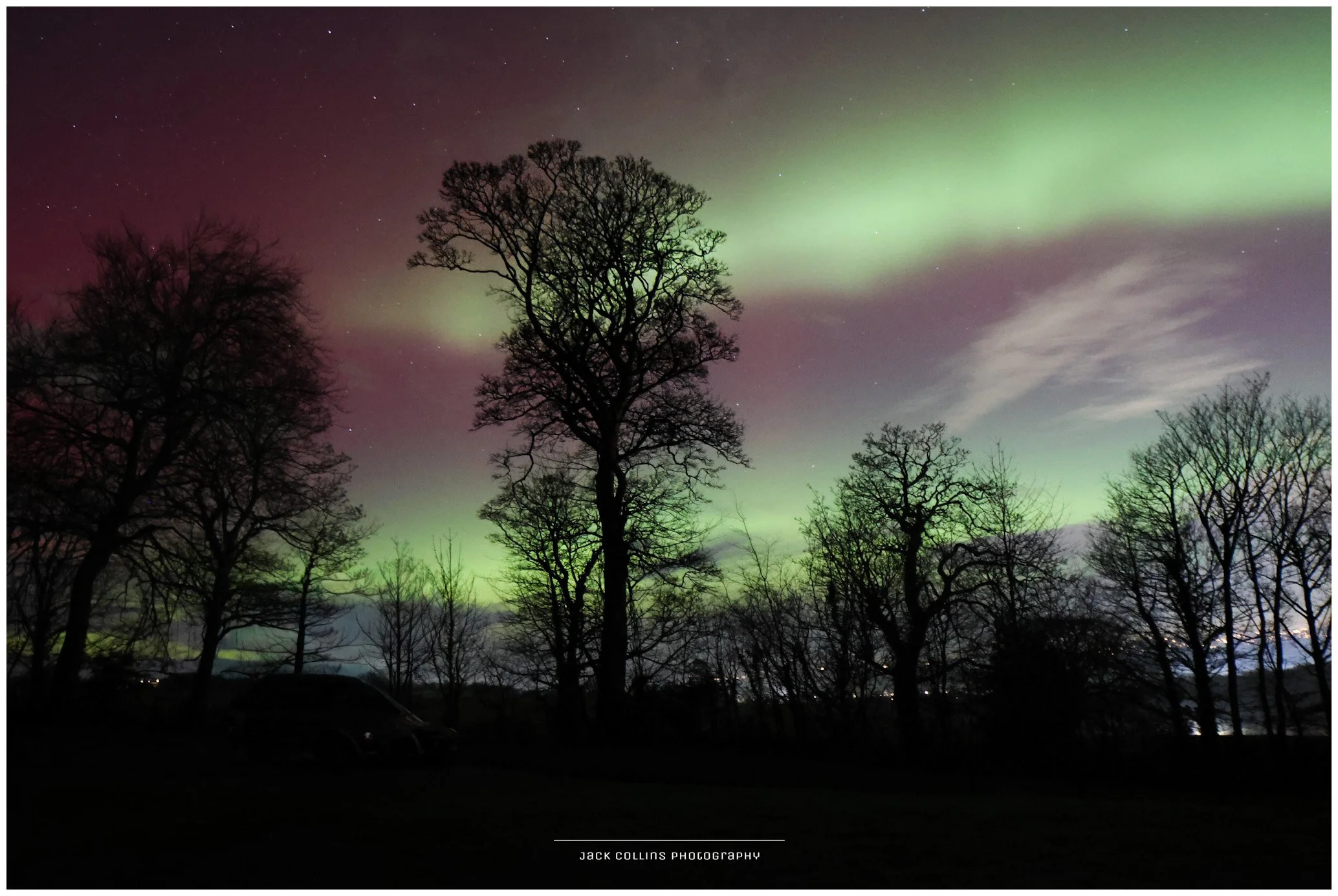 Northern lights in the sky with colorful green, pink, and purple hues above silhouetted bare trees at night.