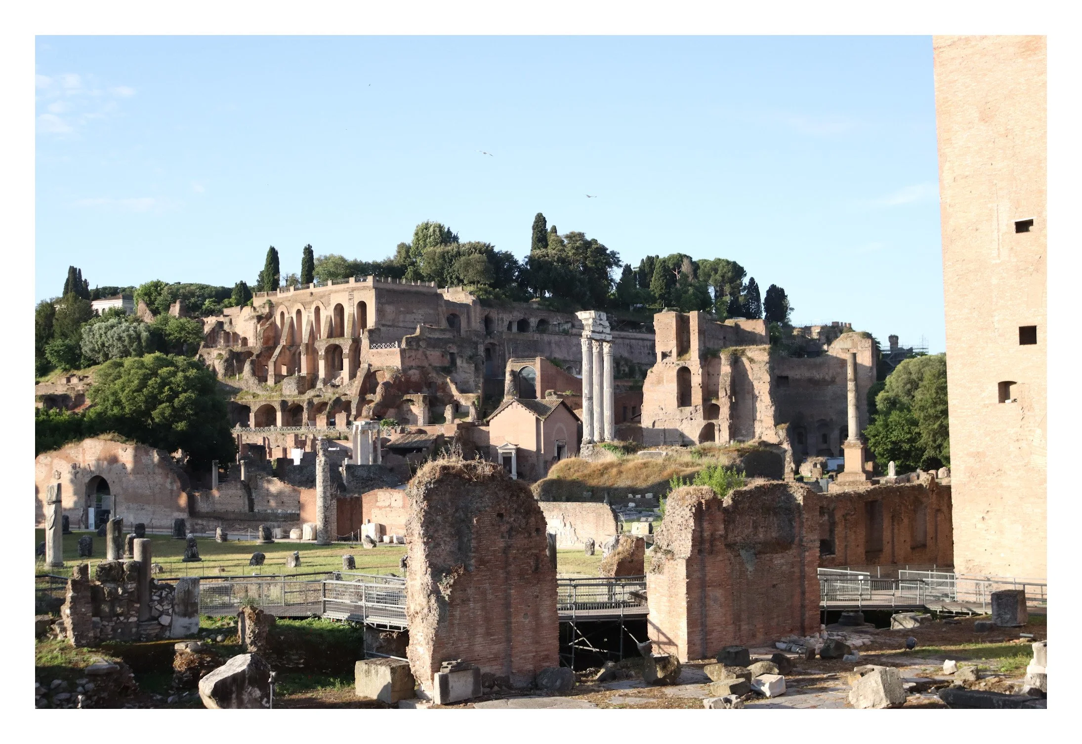 Ancient ruins of Roman Forum with arches, columns, and scattered stones under a clear sky, surrounded by greenery.