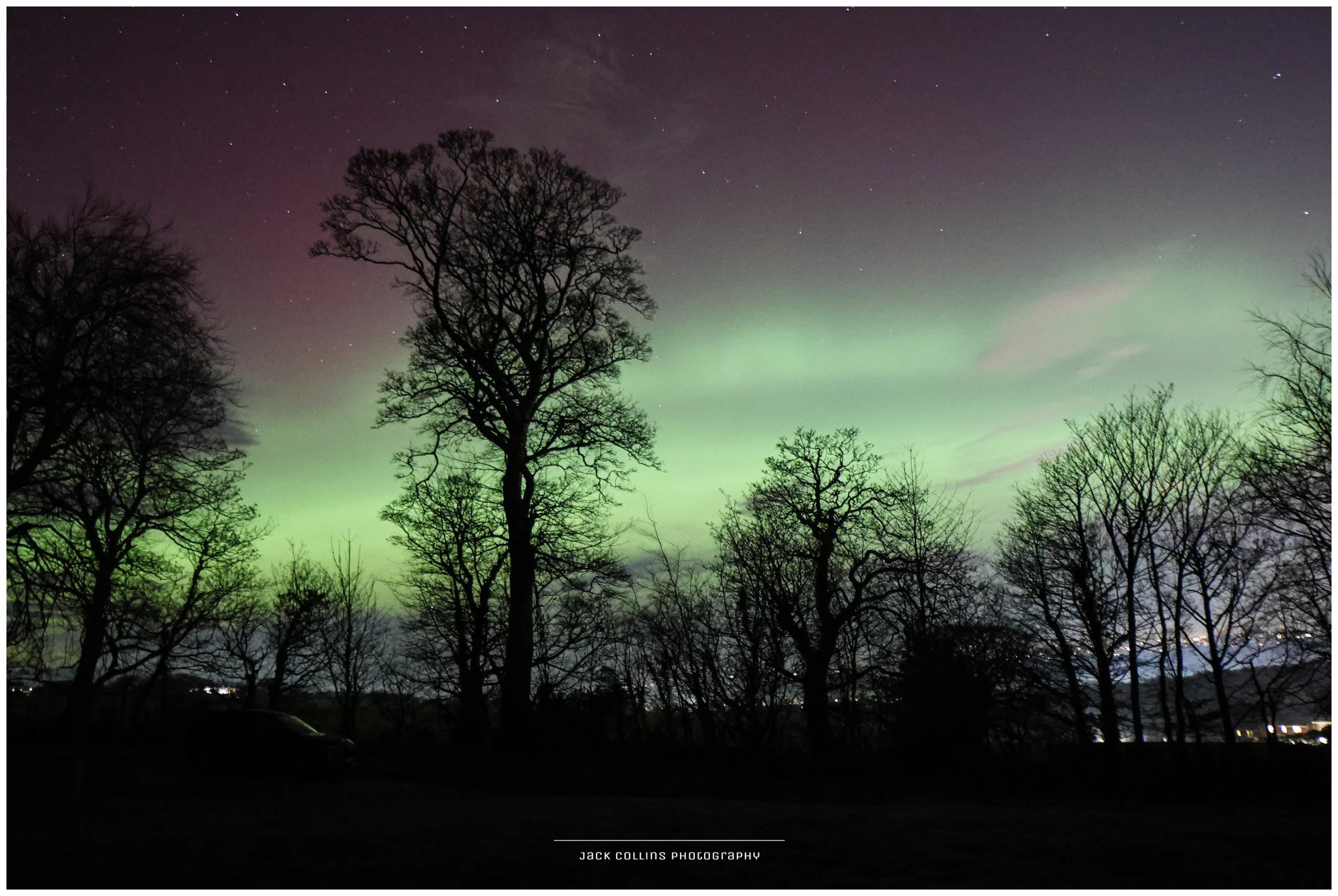 Nighttime scene of leafless trees silhouetted against a sky illuminated by the Northern Lights, with faint stars visible.