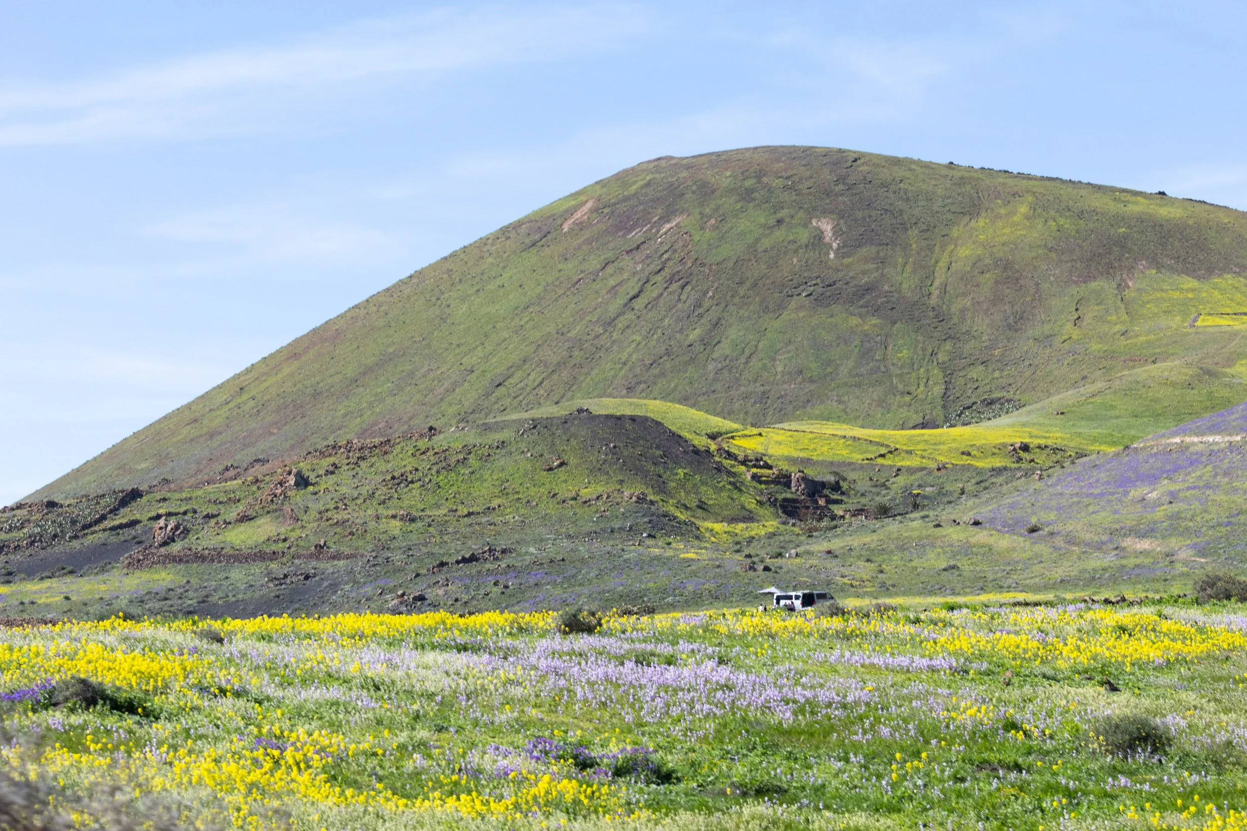 A landscape of green rolling hills with purple and yellow wildflowers, a white vehicle in the distance, and a blue sky with a few clouds.