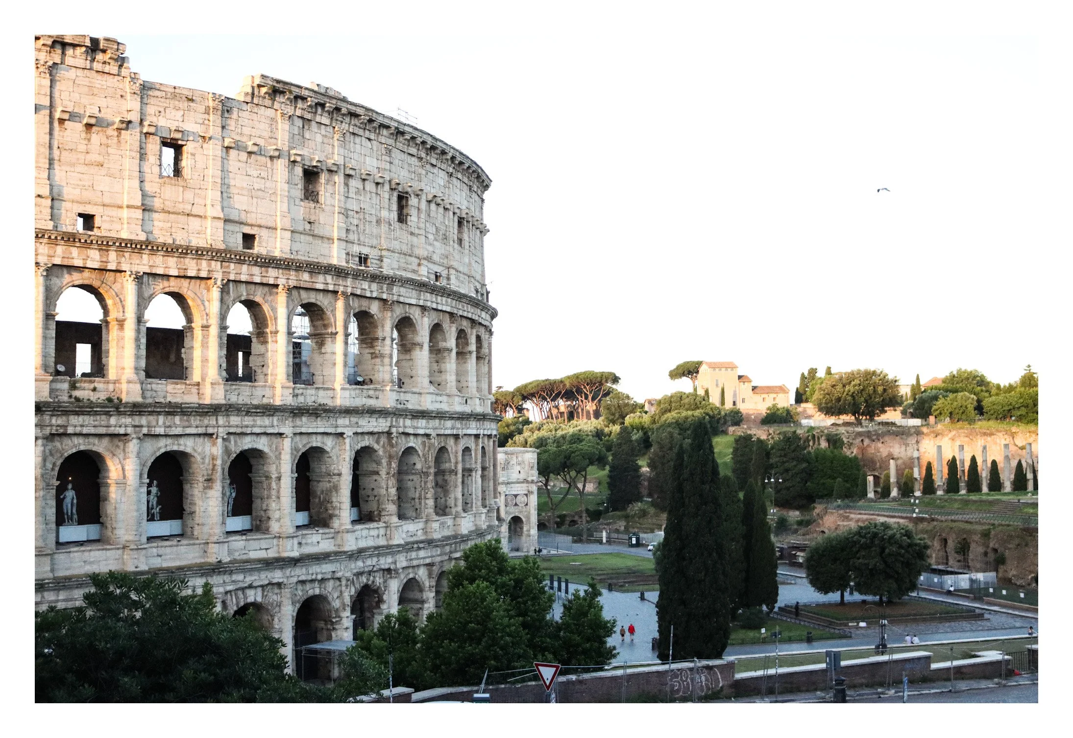 View of the Roman Colosseum with surrounding greenery and clear sky in Rome, Italy.