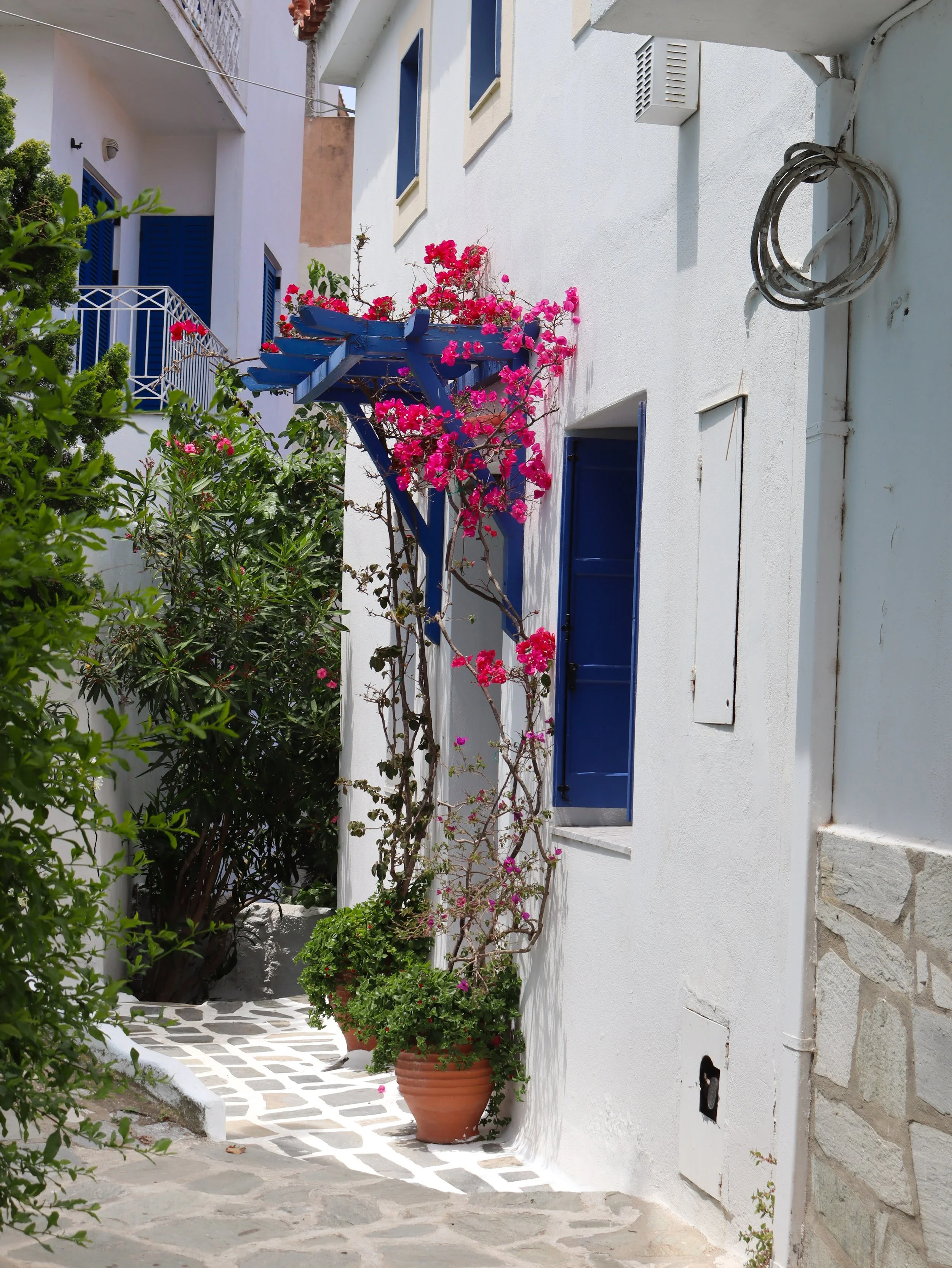 Greek alleyway with white buildings, blue doors and window shutters, pink flowering plant, potted greenery, and patterned cobblestone path.