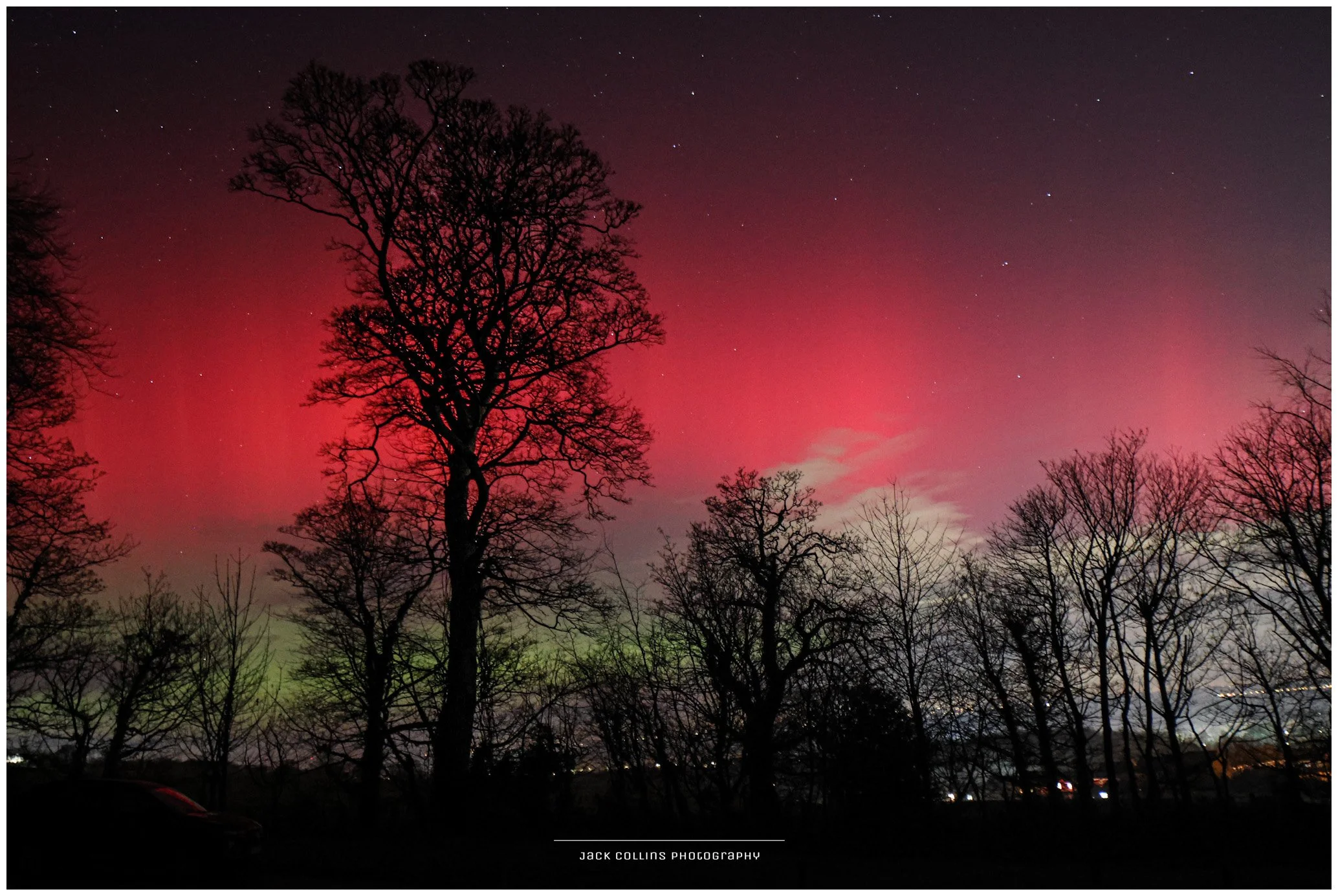 Night sky illuminated with colorful aurora, with silhouetted leafless trees in the foreground.