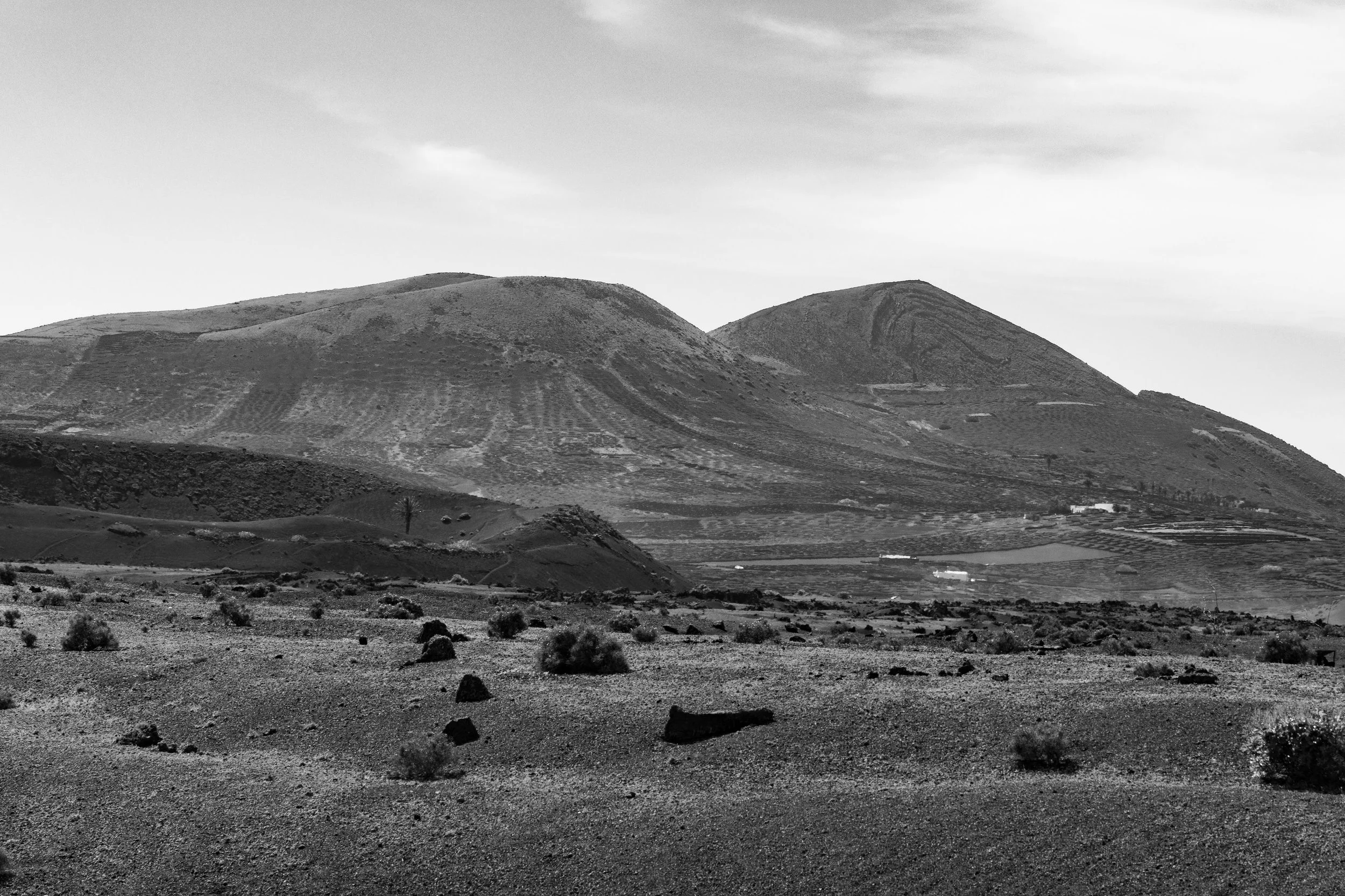 Desert landscape with two large hills or mountains in the background, sparse vegetation and rocks on the ground in the foreground, overcast sky.