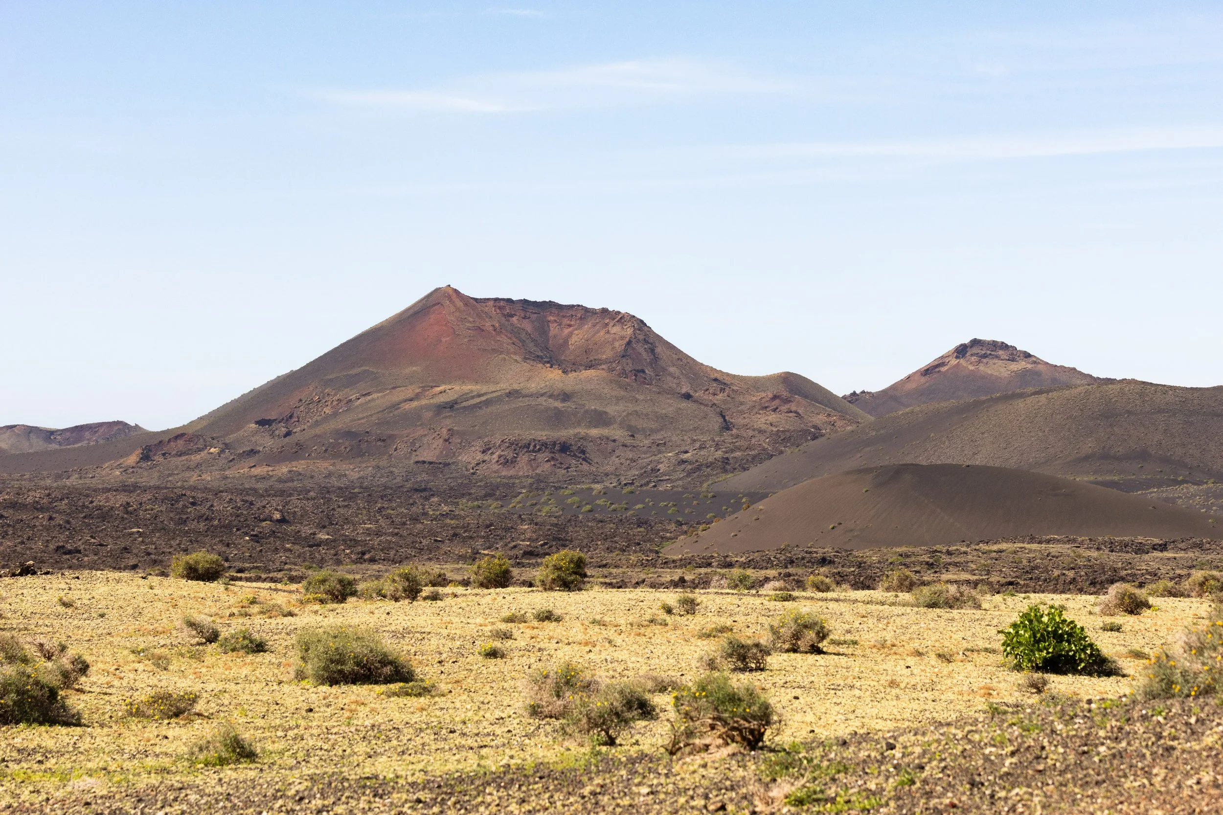 A desert landscape with sparse green bushes, volcanic mountains in the background, and a clear sky.