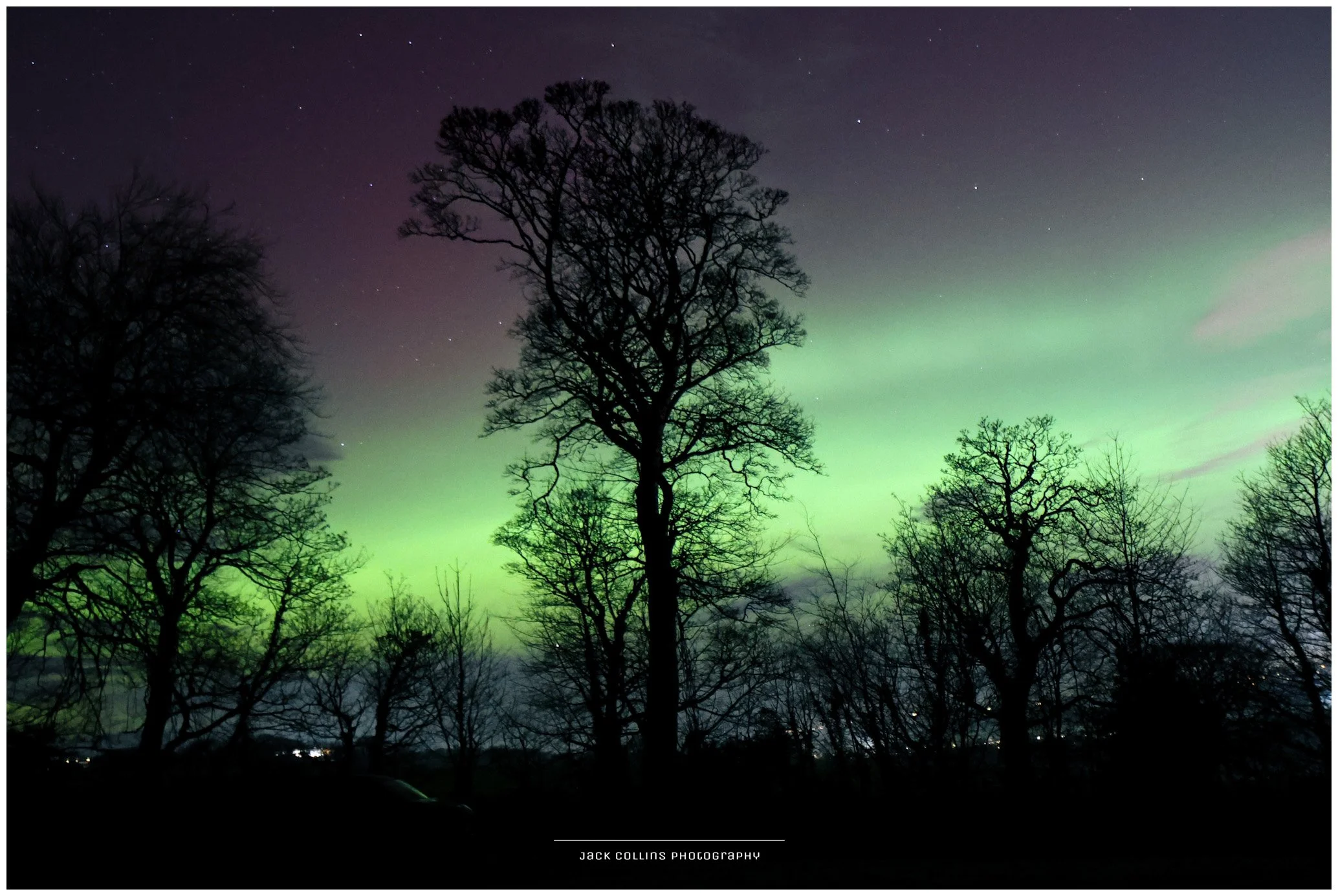 Nighttime scene of a forest with leafless trees silhouetted against the sky, displaying green and purple aurora borealis and visible stars.