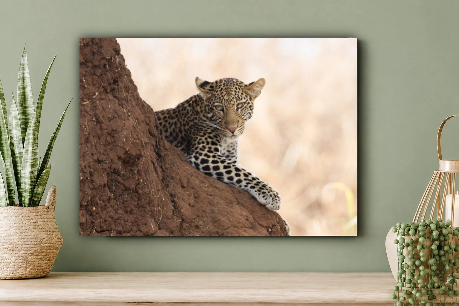 Leopard Canvas Print (60x40cm)