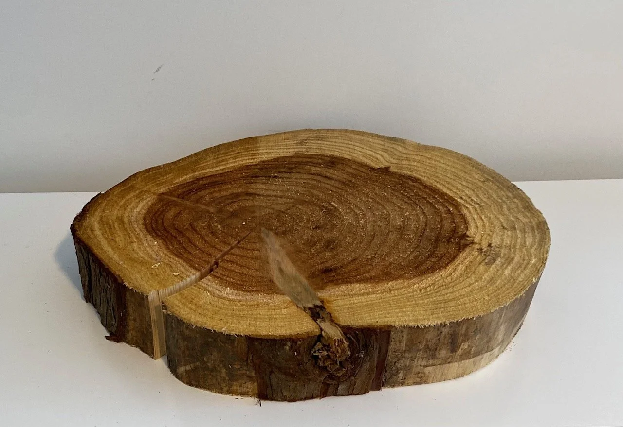 Log slice, fits 32 cm diameter cake