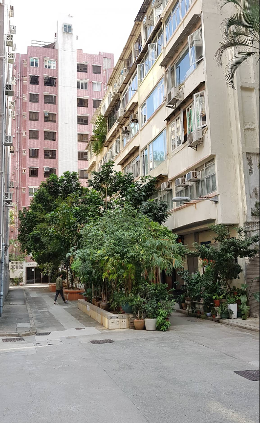 Isolated Island in the City