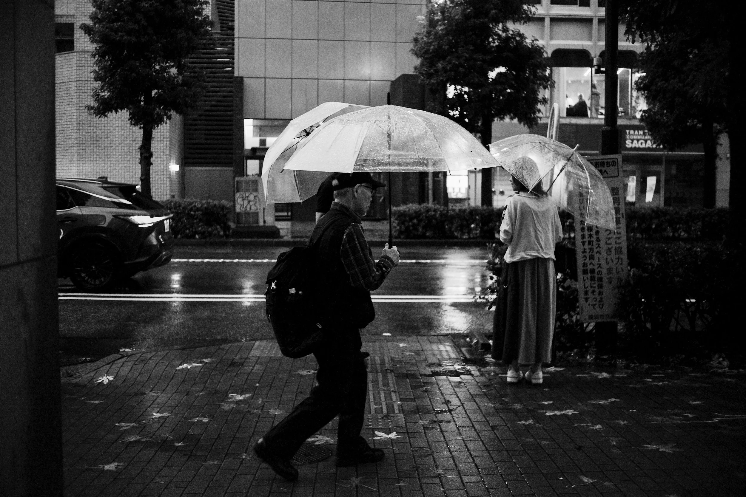 DSCF1799-3.jpg