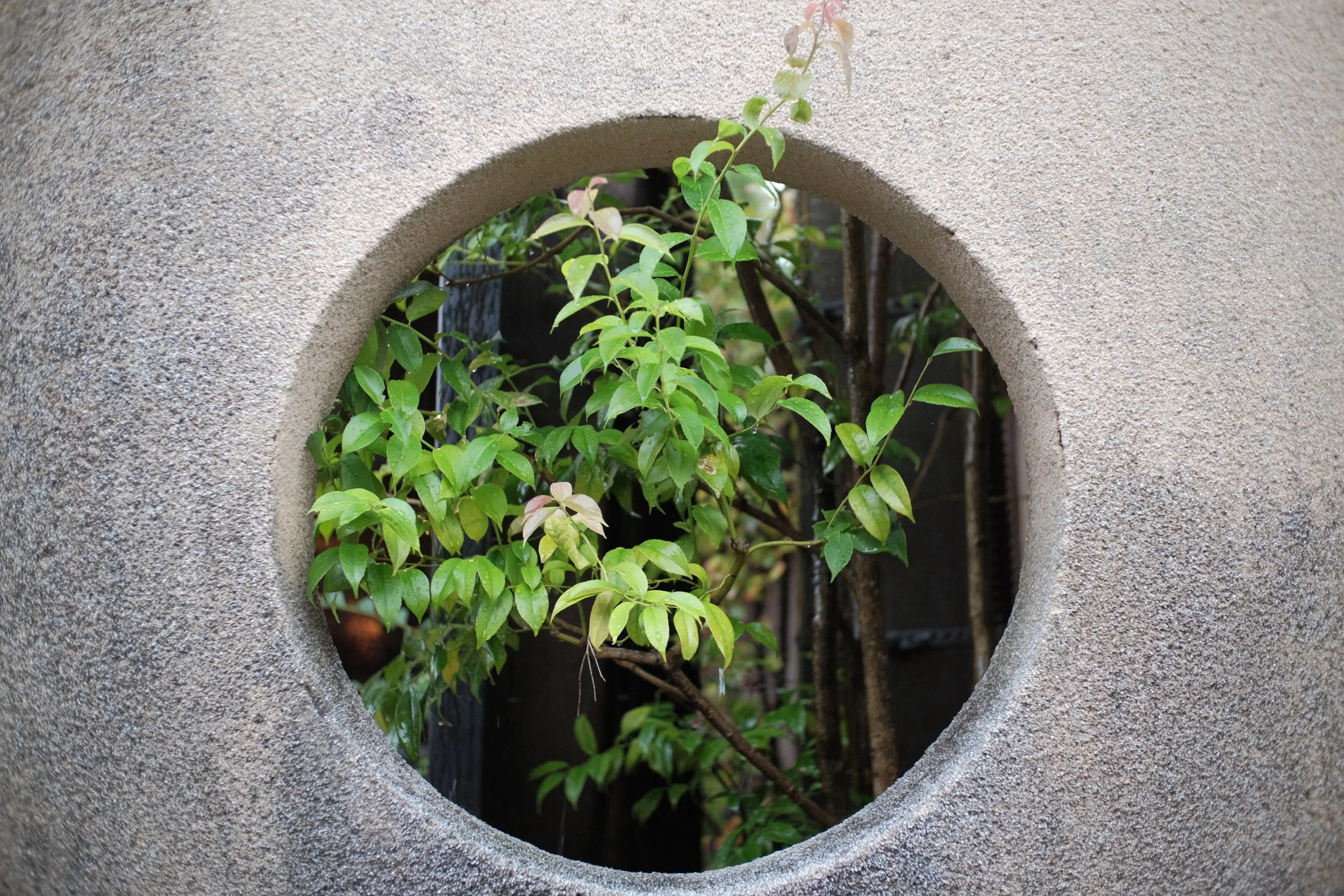 DSCF1804.JPG