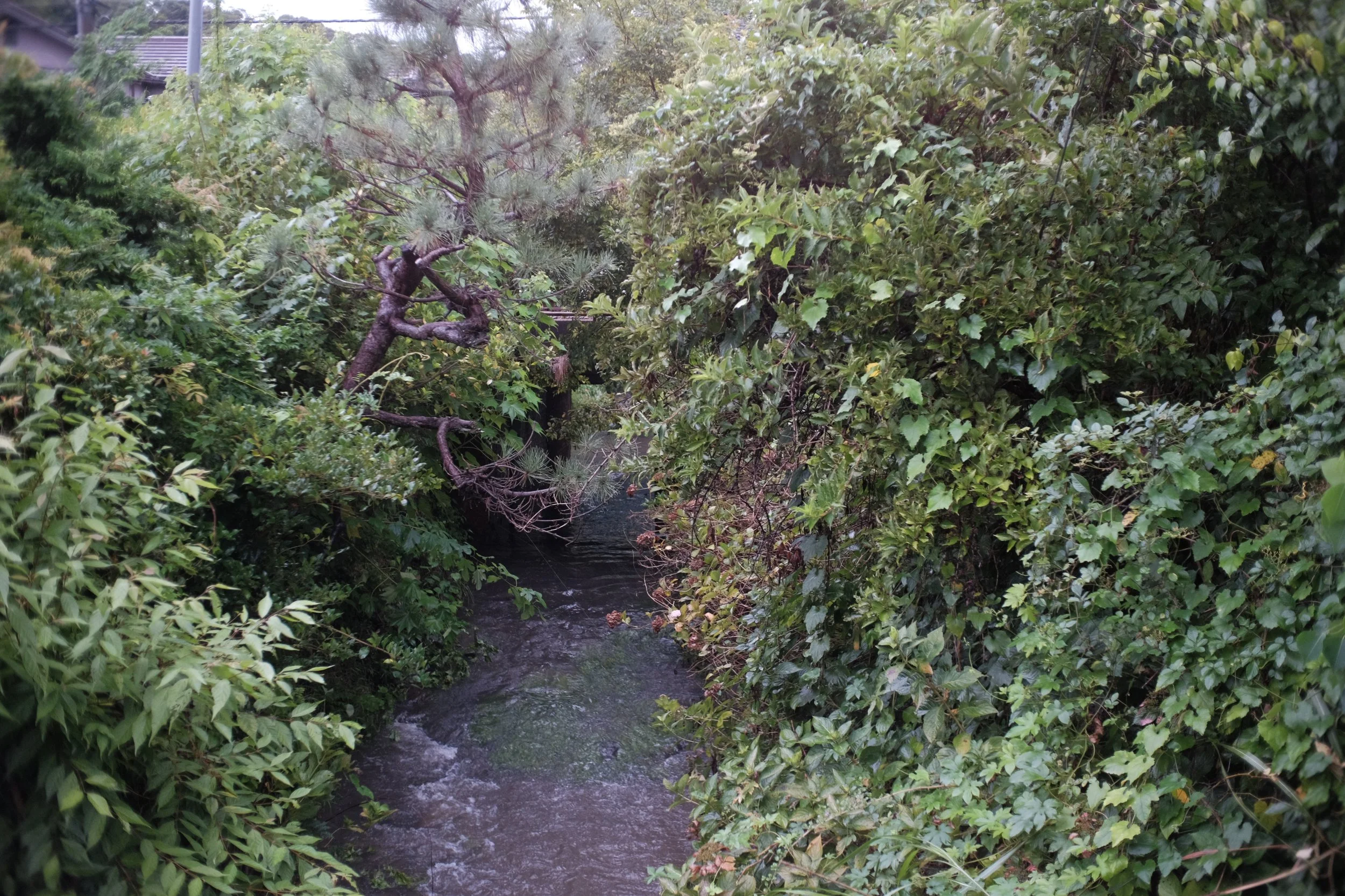 DSCF1815.JPG