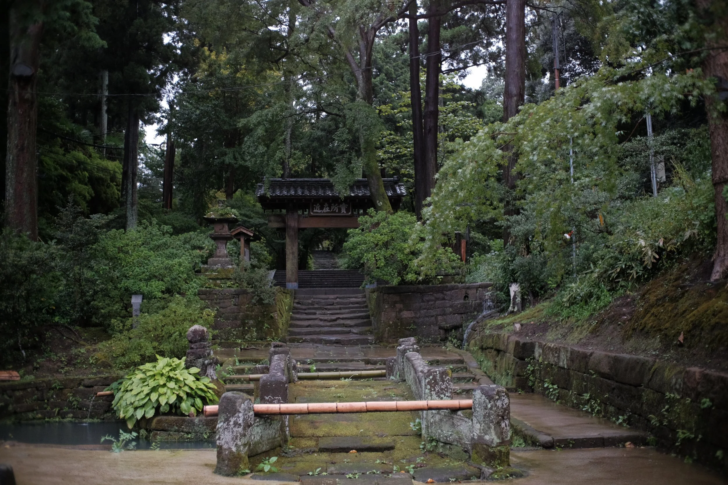 DSCF1818.JPG
